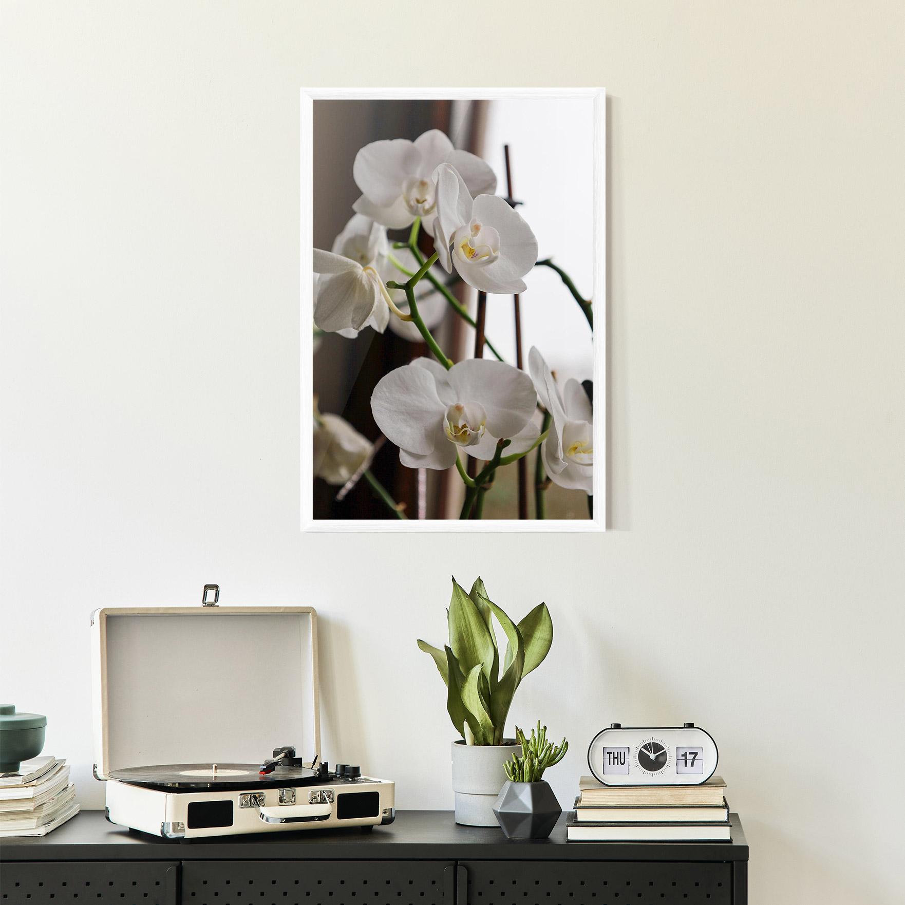 Keretezett Poszter White Orchid Growing mockup 2