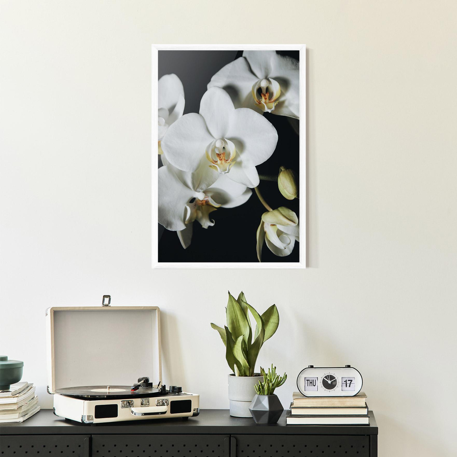 Keretezett Poszter White Orchid On Black mockup 2