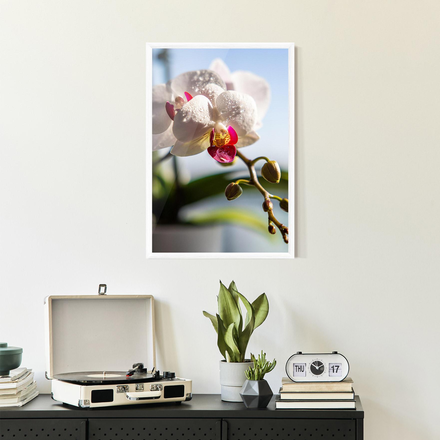 Keretezett Poszter White Orchid With Water mockup 2