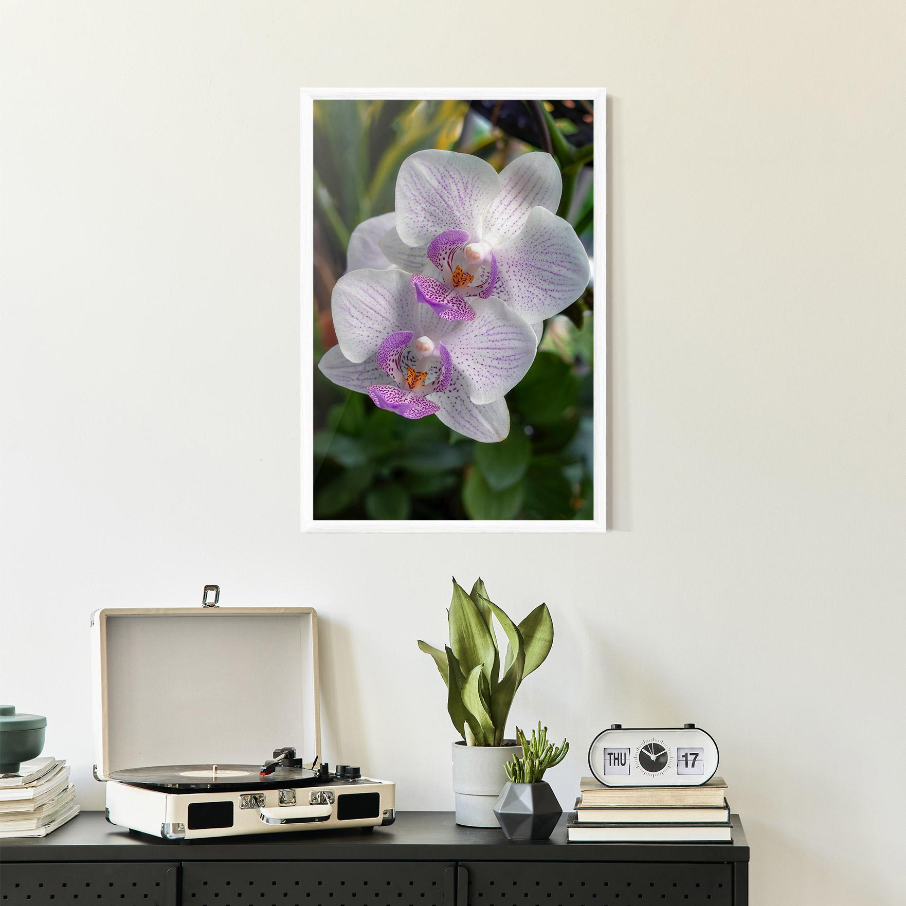Keretezett Poszter White Orchids mockup 2