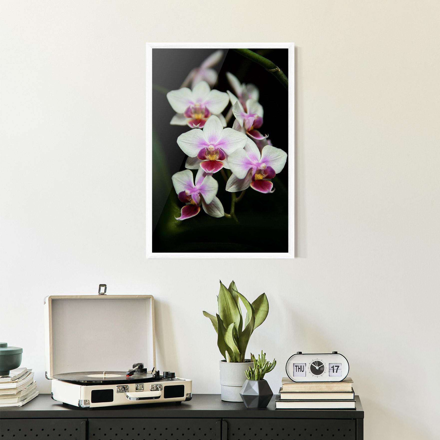 Keretezett Poszter Wild White Purple Orchid mockup 2