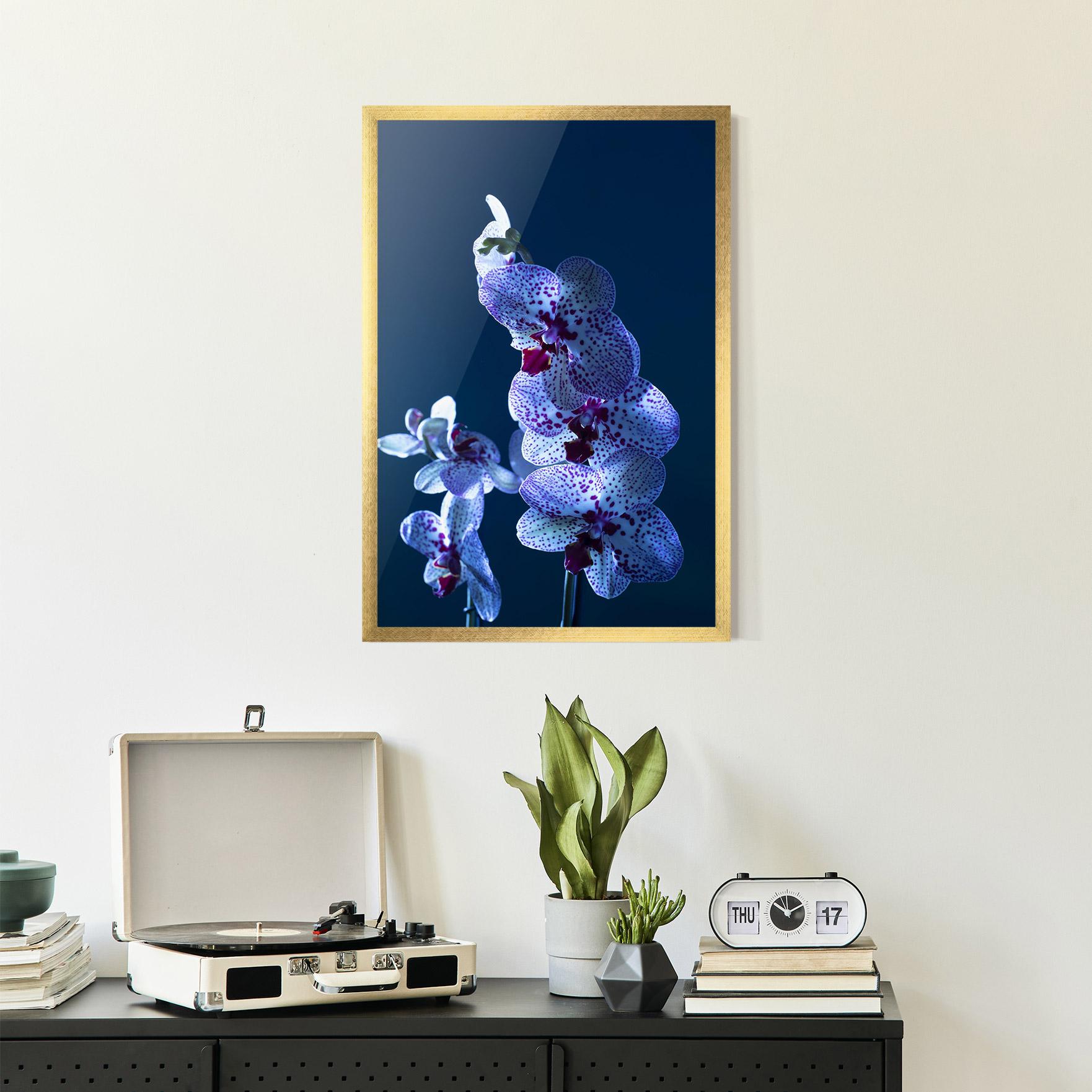 Keretezett Poszter Blue Light Orchid mockup 2