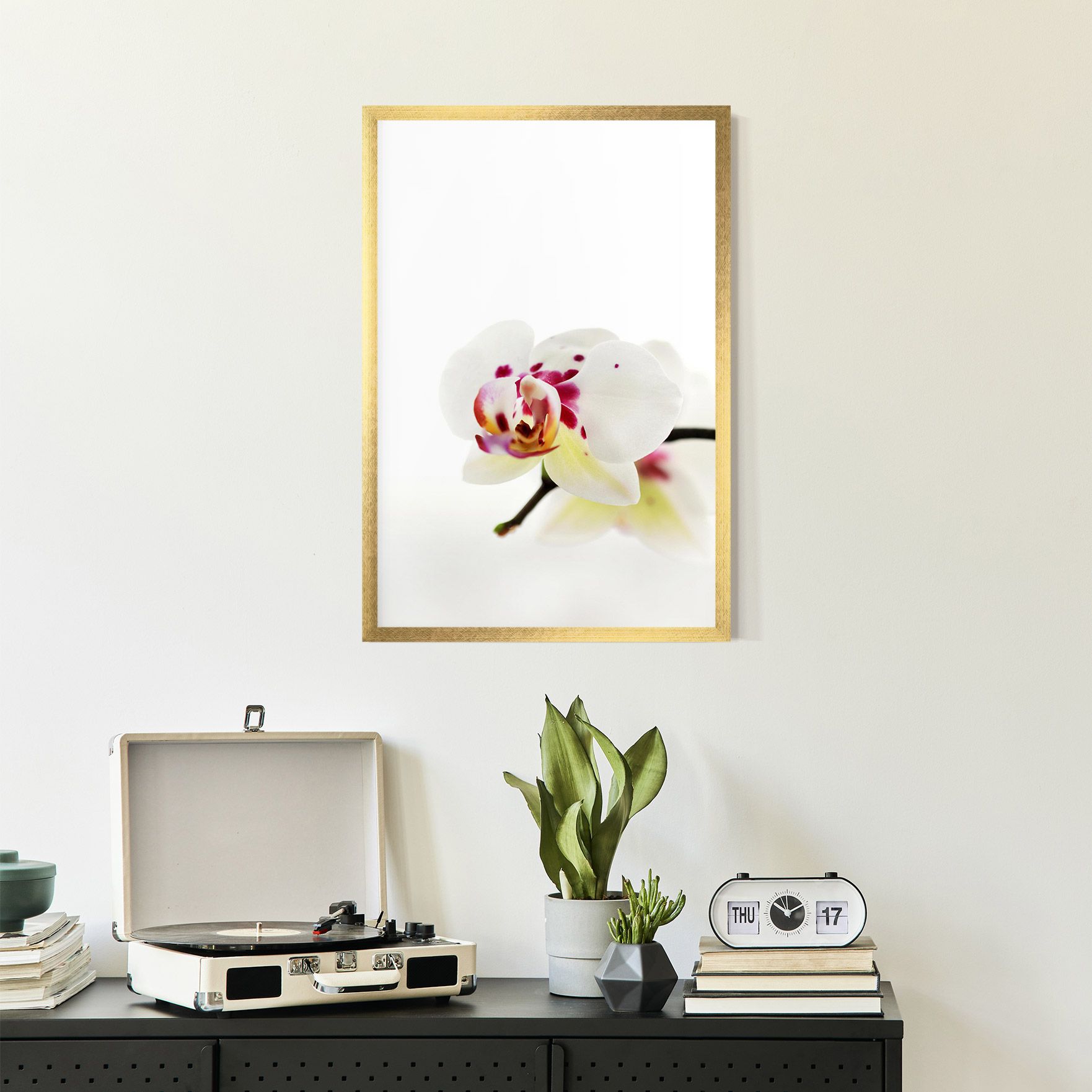 Clean White Orchid mockup 2