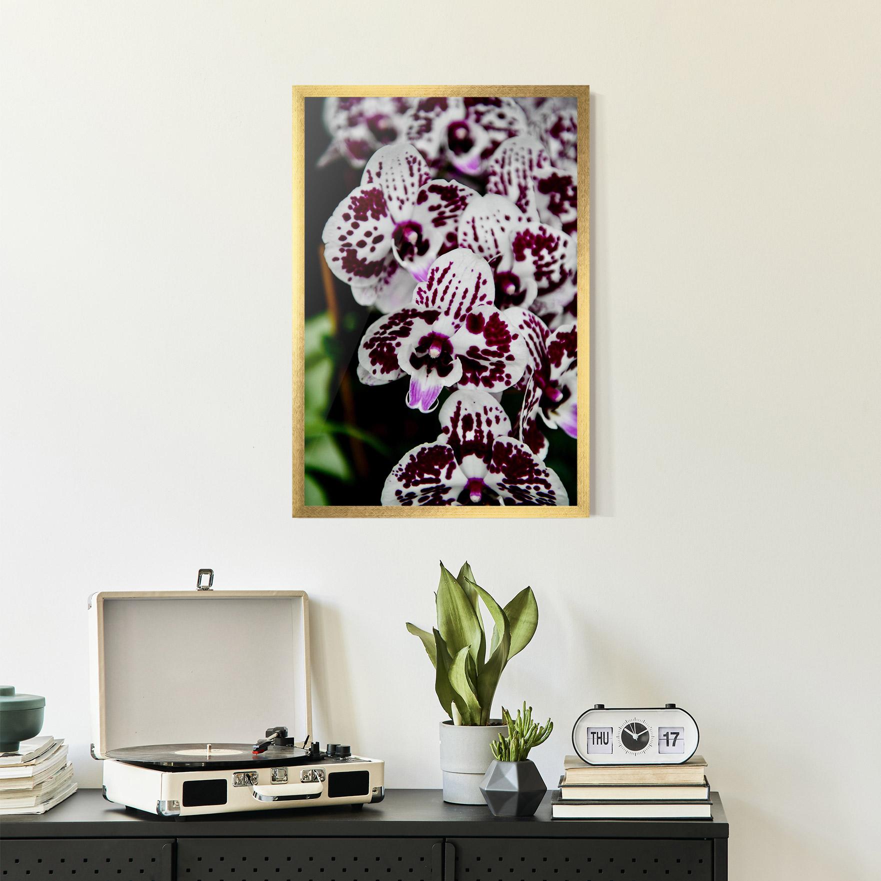 Keretezett Poszter Dark Purple Orchids mockup 2