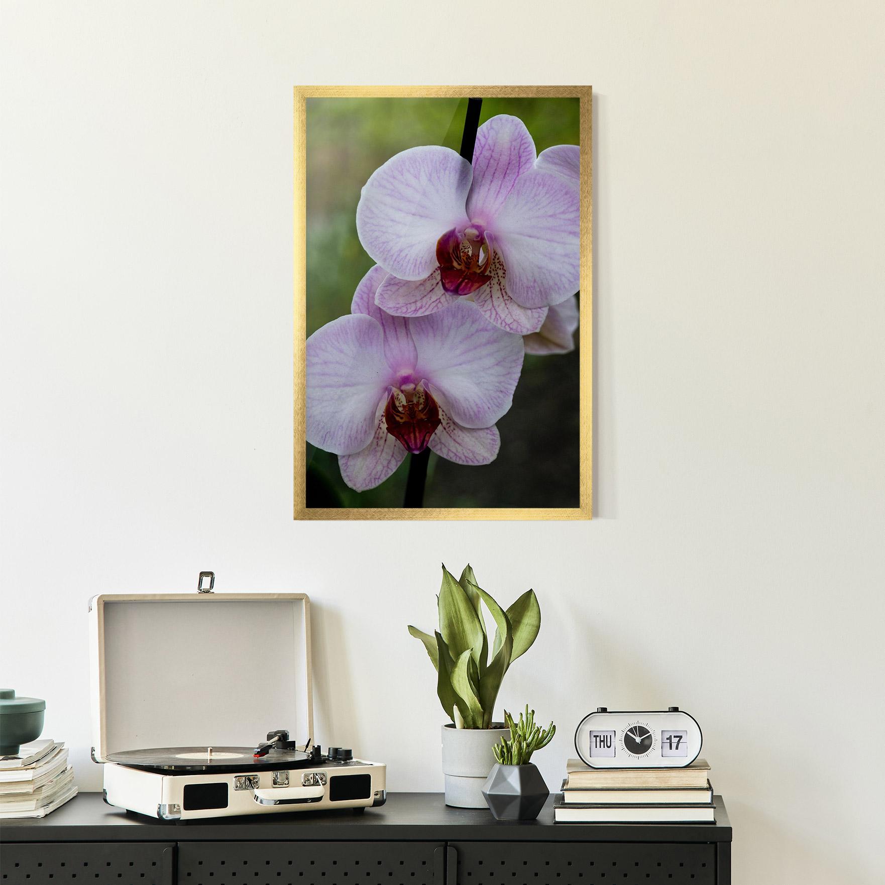 Keretezett Poszter Garden Light Purple Orchid mockup 2