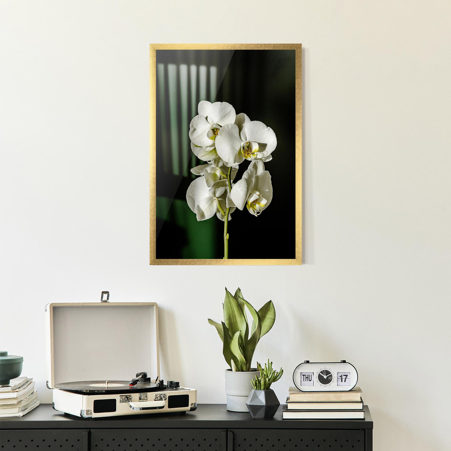 Keretezett Poszter Orchid On Green mockup 2