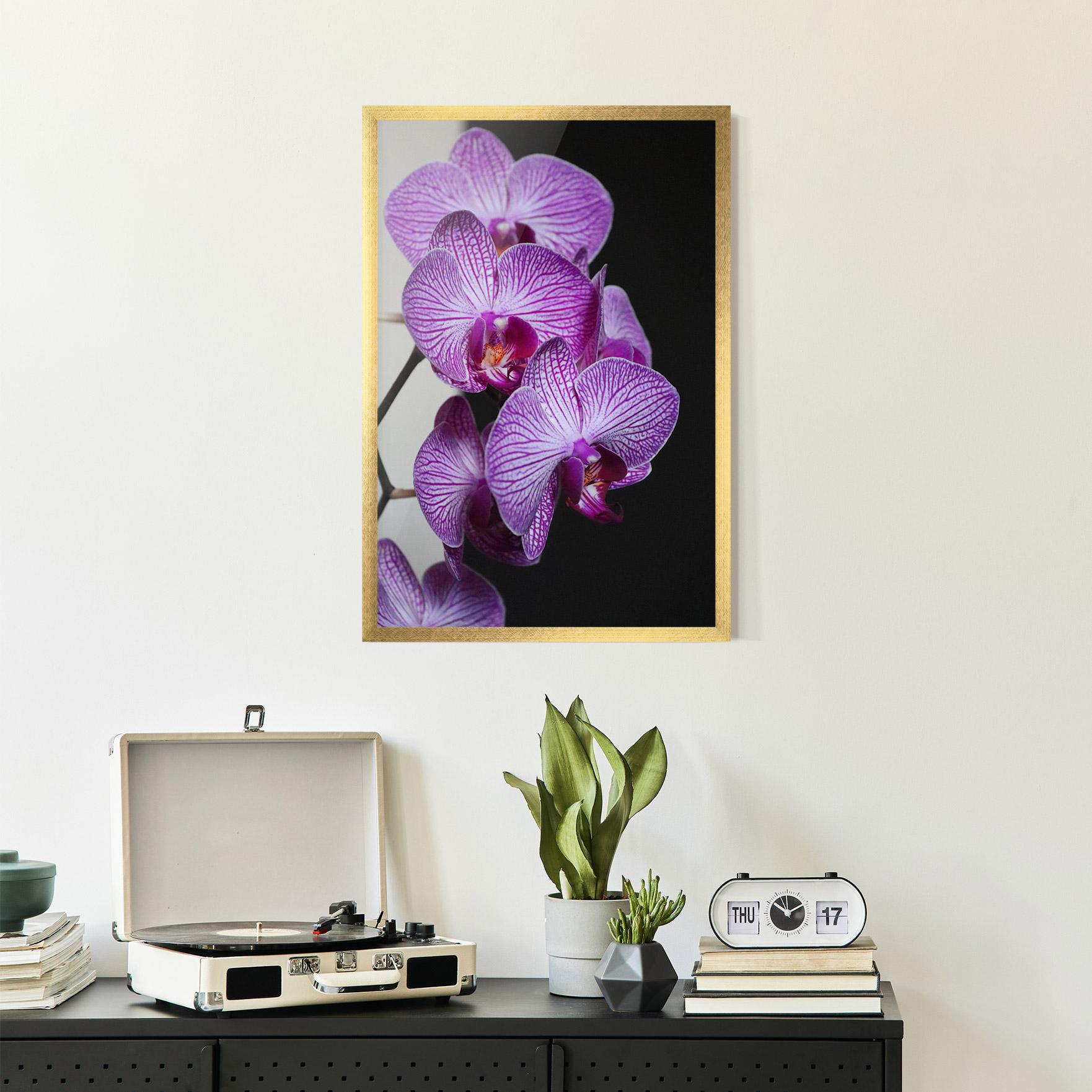 Keretezett Poszter Purple Orchid On Black mockup 2