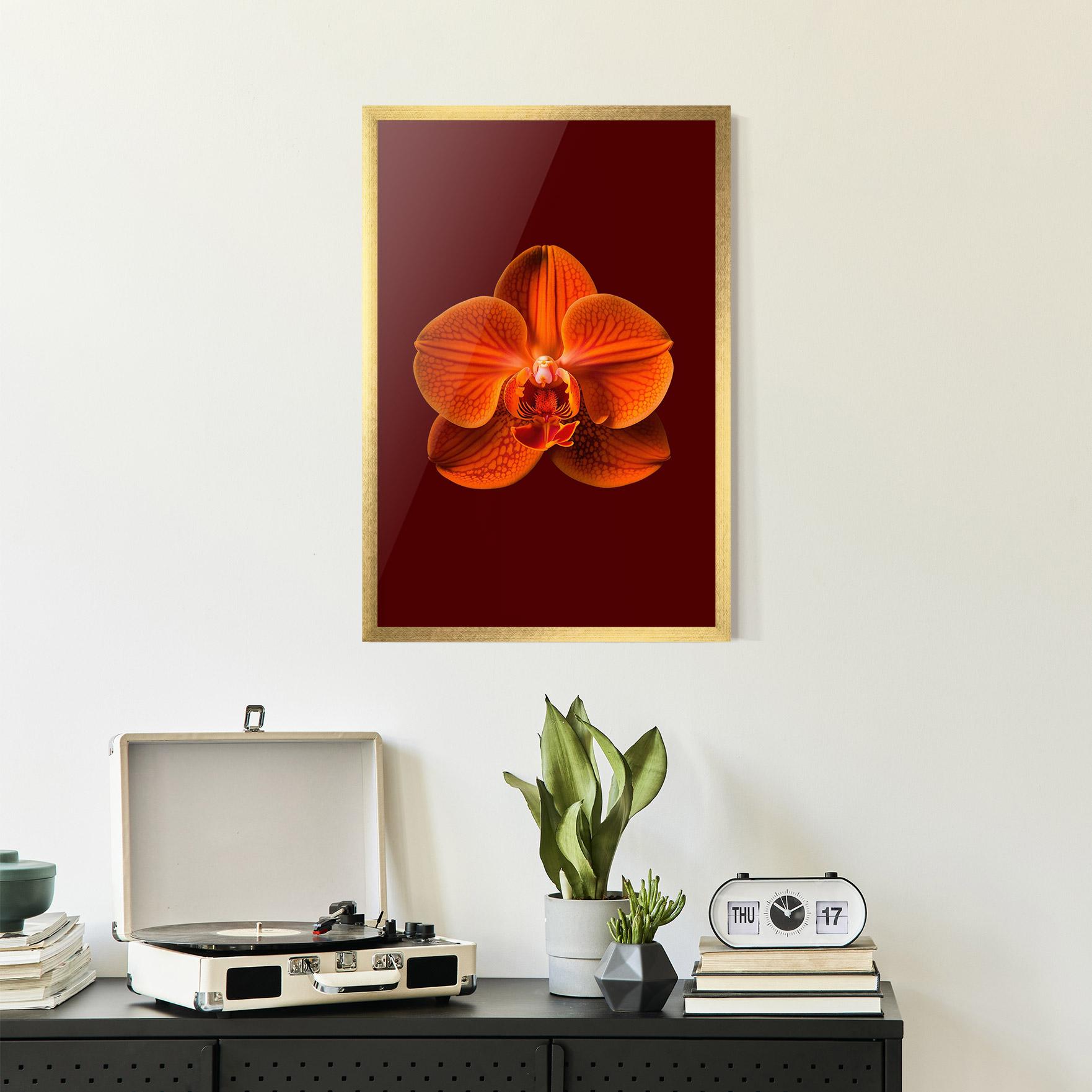 Keretezett Poszter Strong Orange Orchid mockup 2