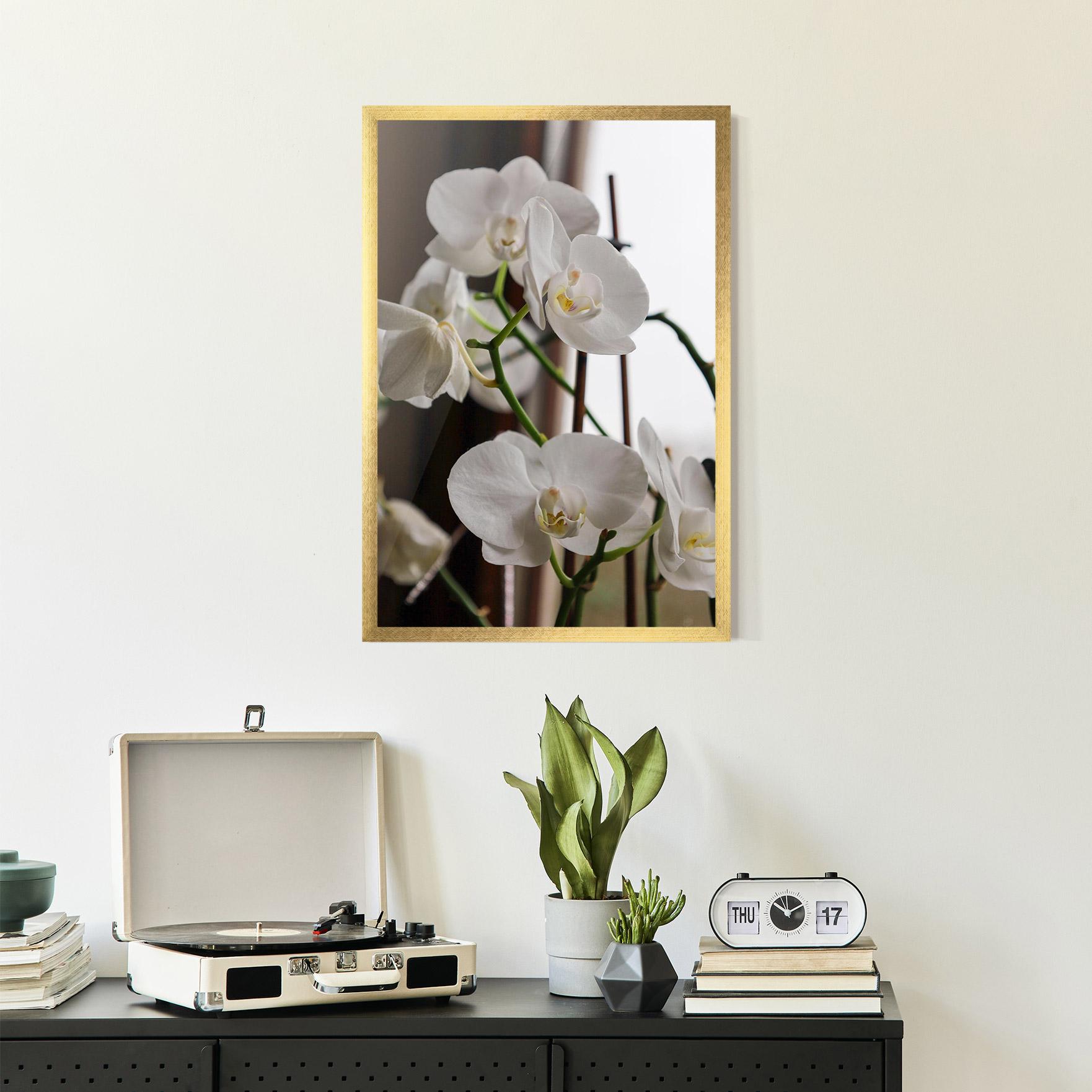 Keretezett Poszter White Orchid Growing mockup 2