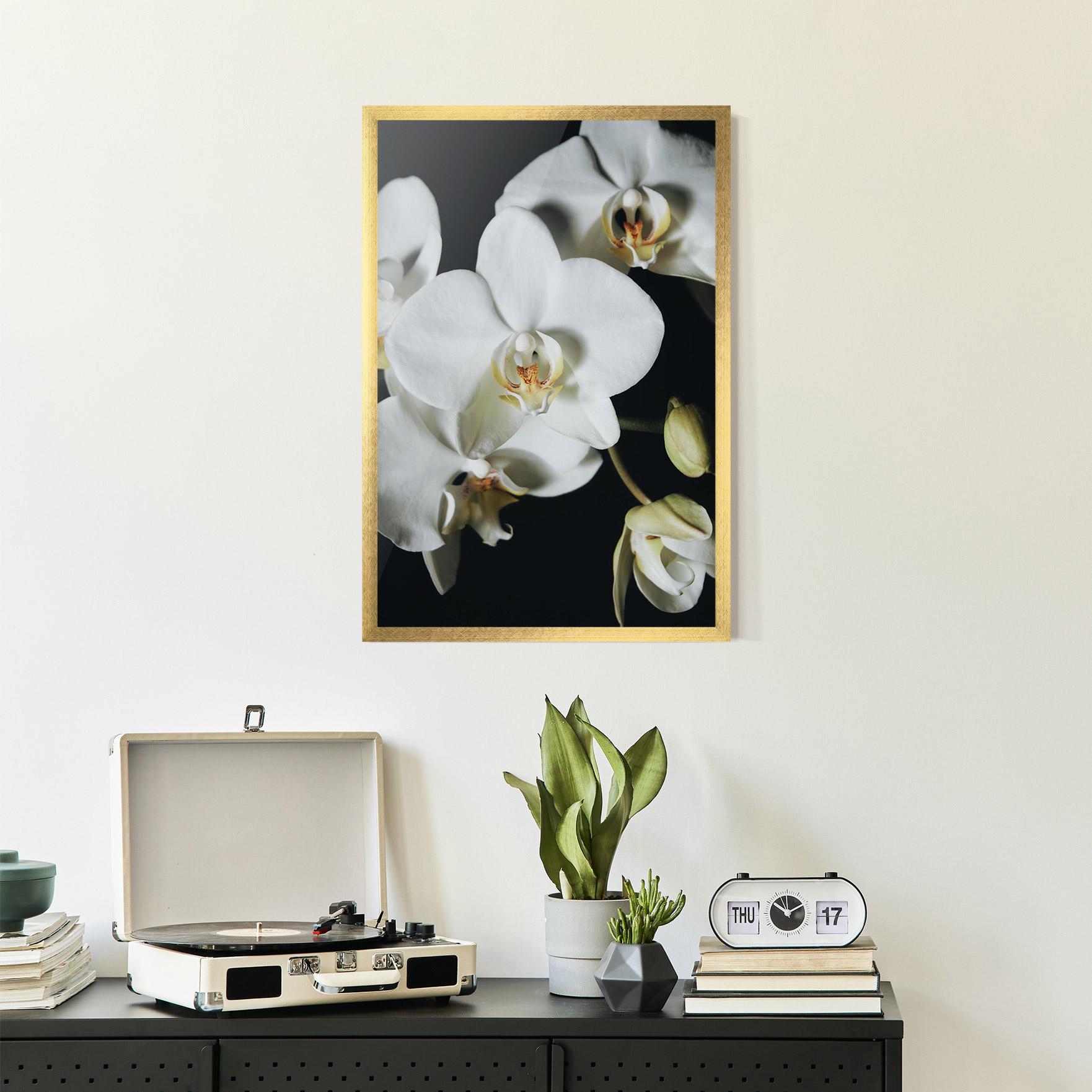 Keretezett Poszter White Orchid On Black mockup 2