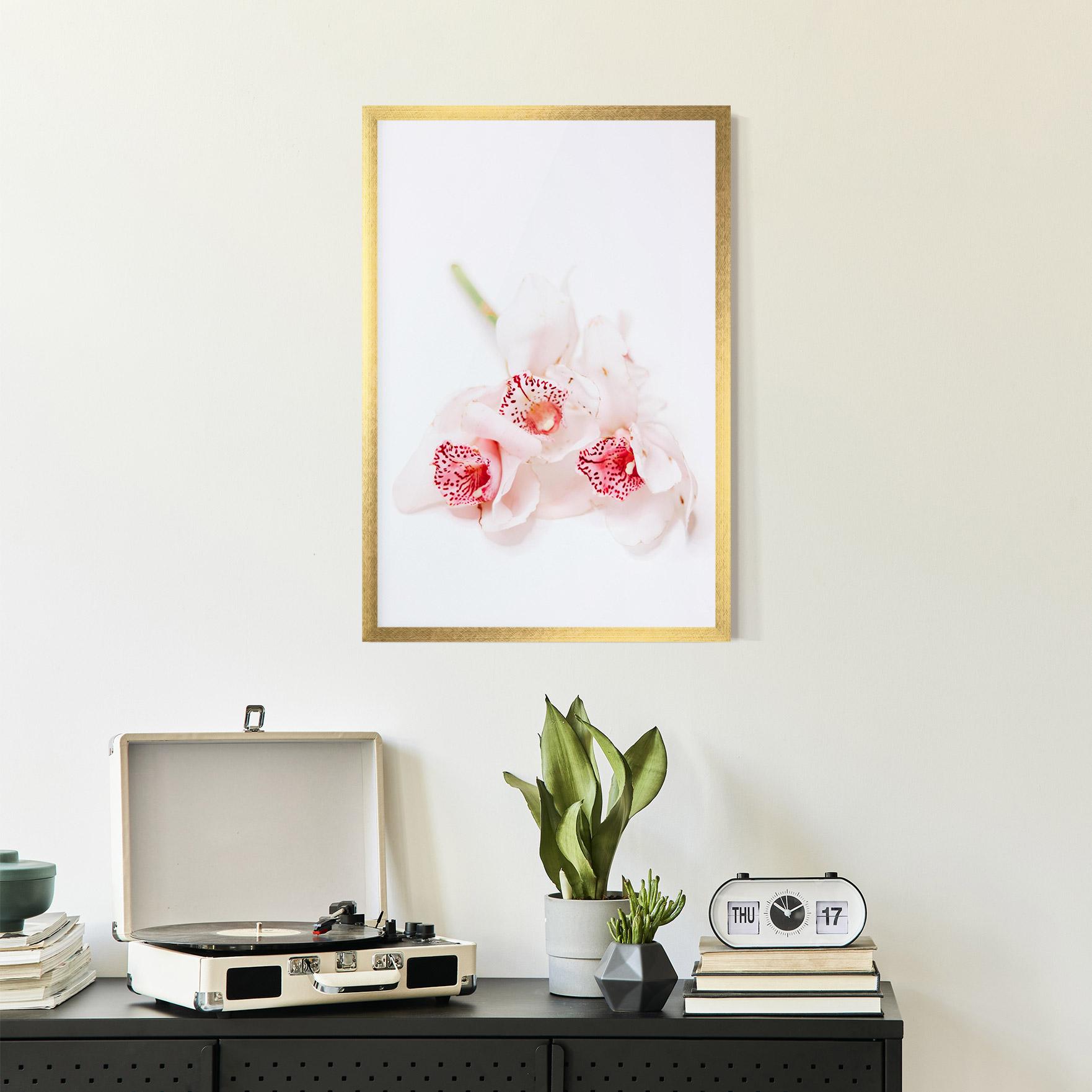 Keretezett Poszter White Orchid With Pink mockup 2