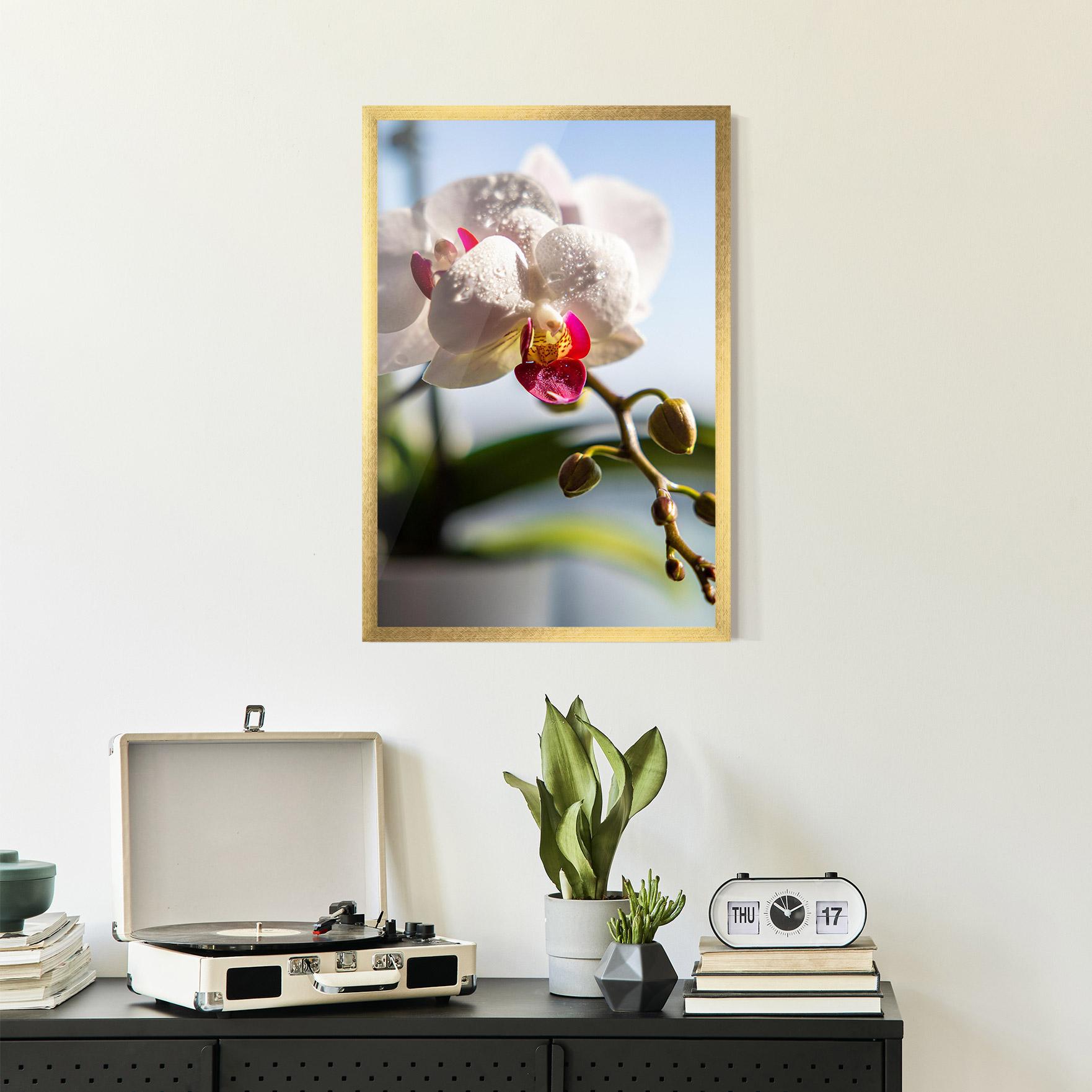 Keretezett Poszter White Orchid With Water mockup 2