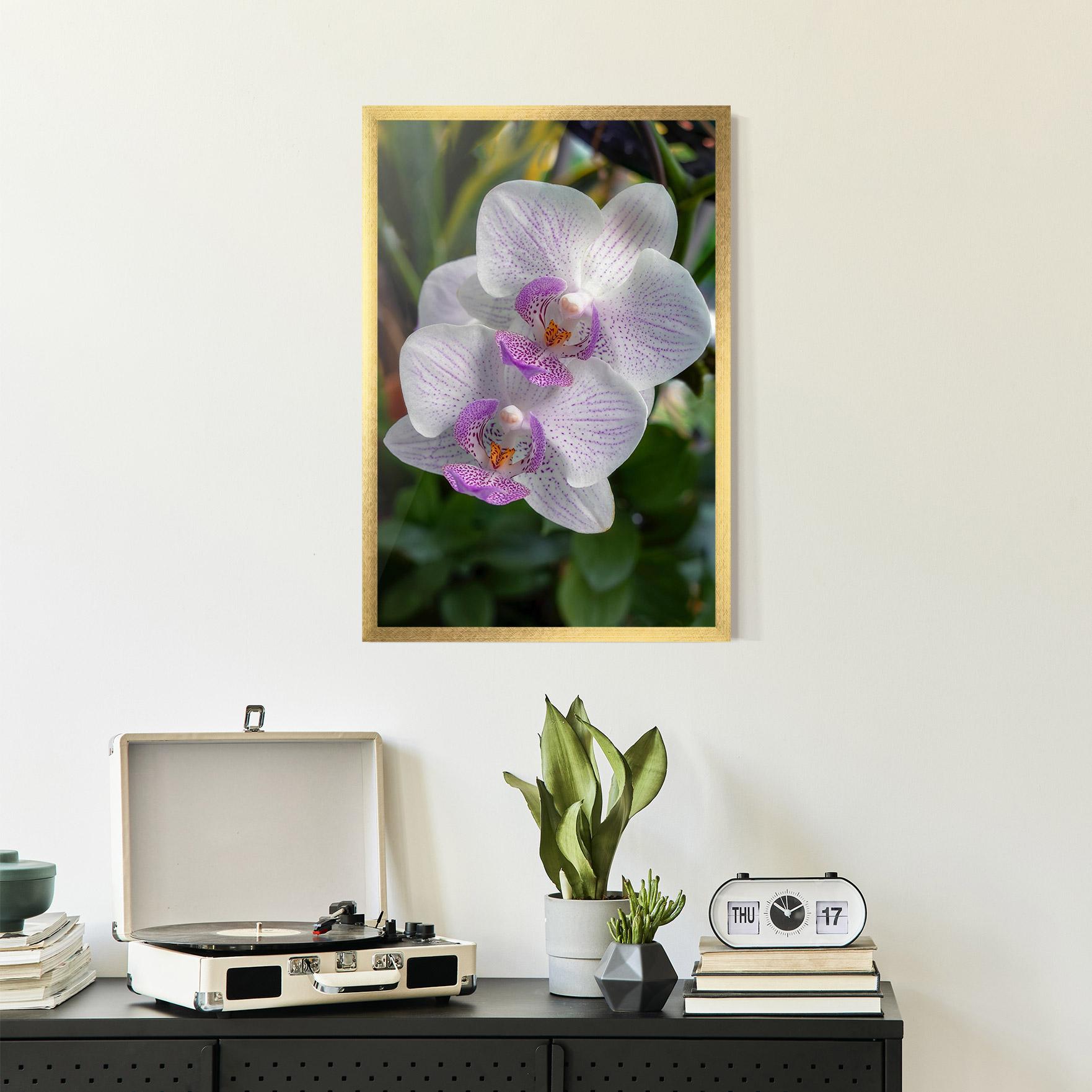 Keretezett Poszter White Orchids mockup 2