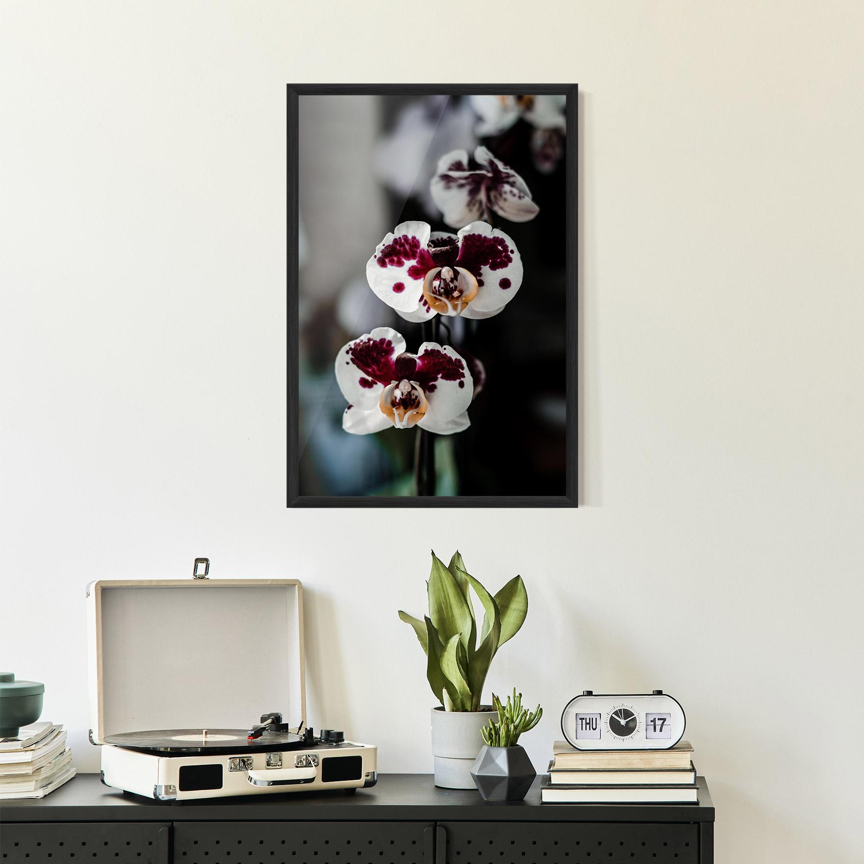 Keretezett Poszter Dark Purple Orchid mockup 2