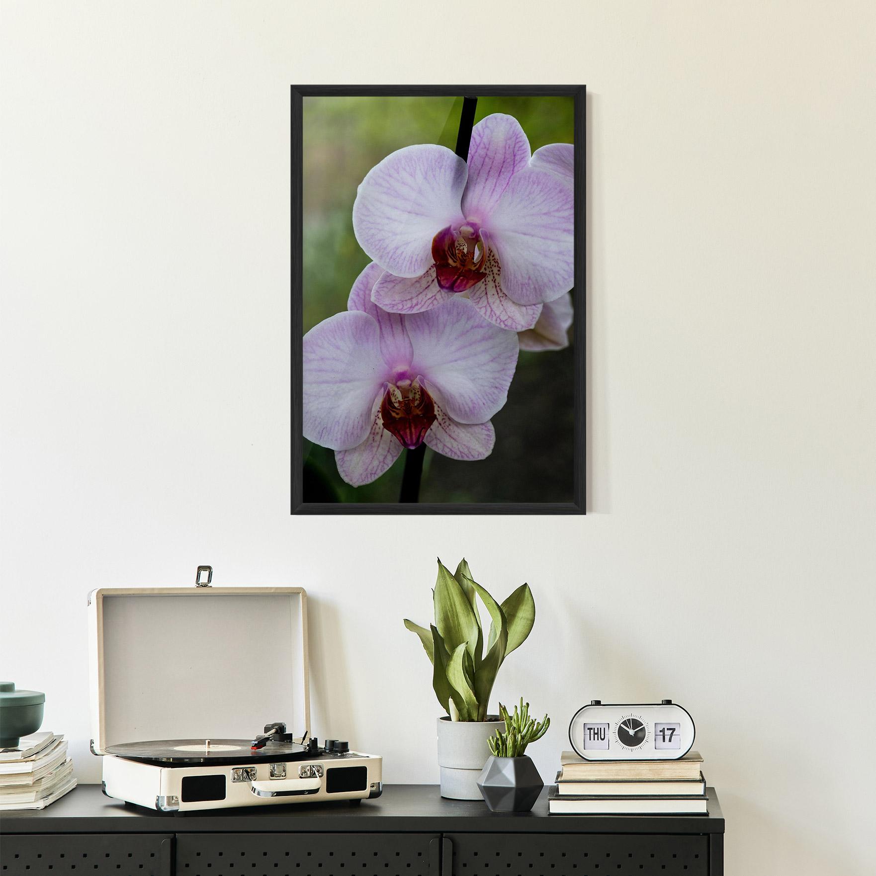 Keretezett Poszter Garden Light Purple Orchid mockup 2