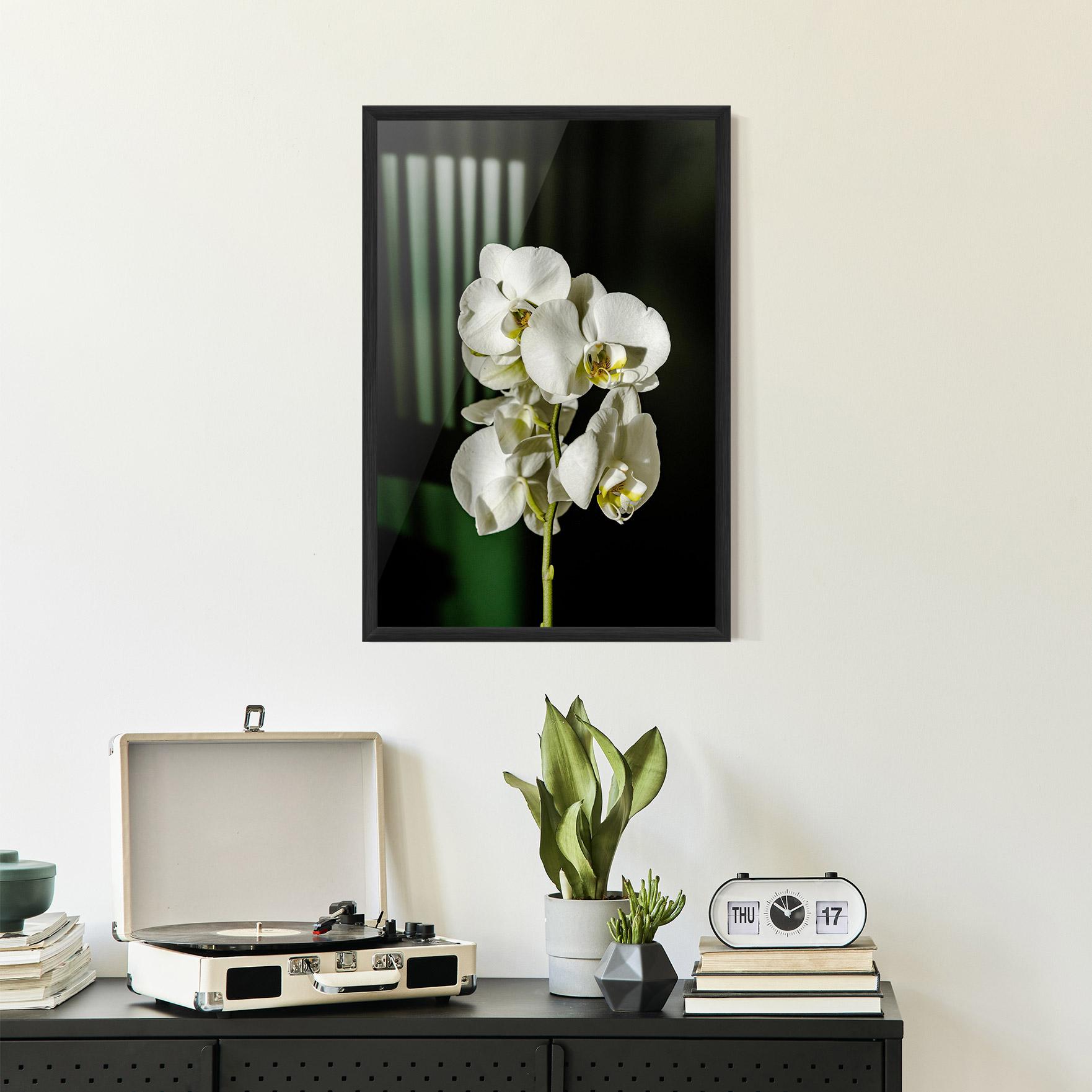 Keretezett Poszter Orchid On Green mockup 2