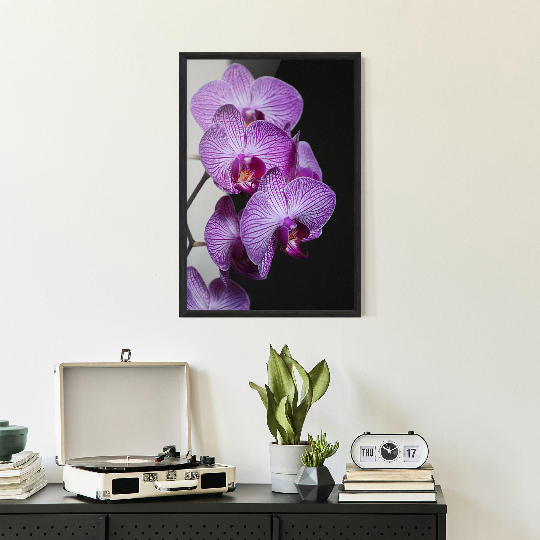 Keretezett Poszter Purple Orchid On Black mockup 2