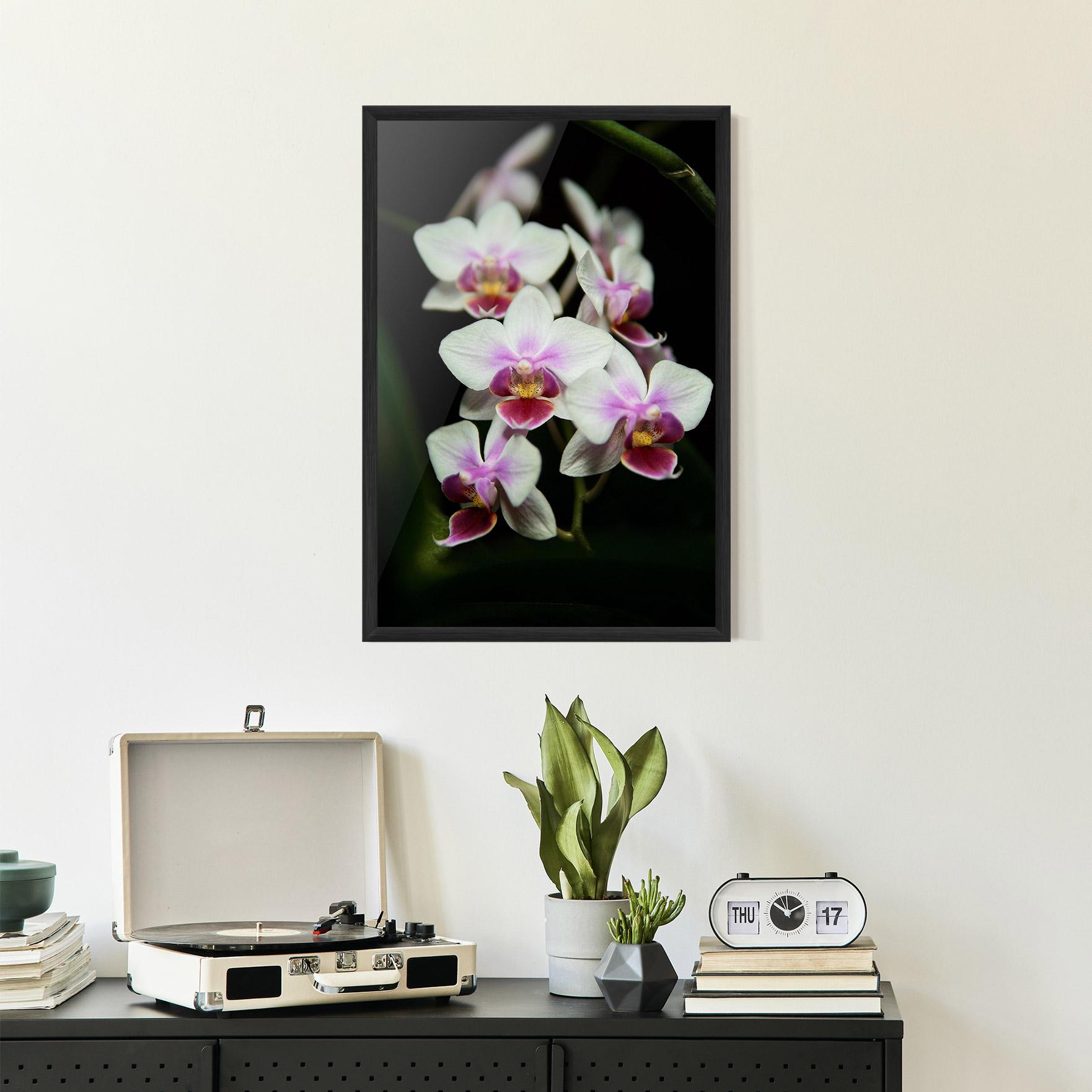 Keretezett Poszter Wild White Purple Orchid mockup 2
