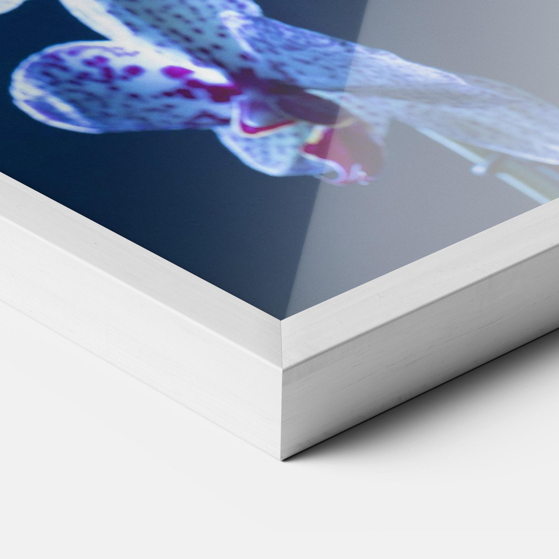 Keretezett Poszter Blue Light Orchid mockup 3