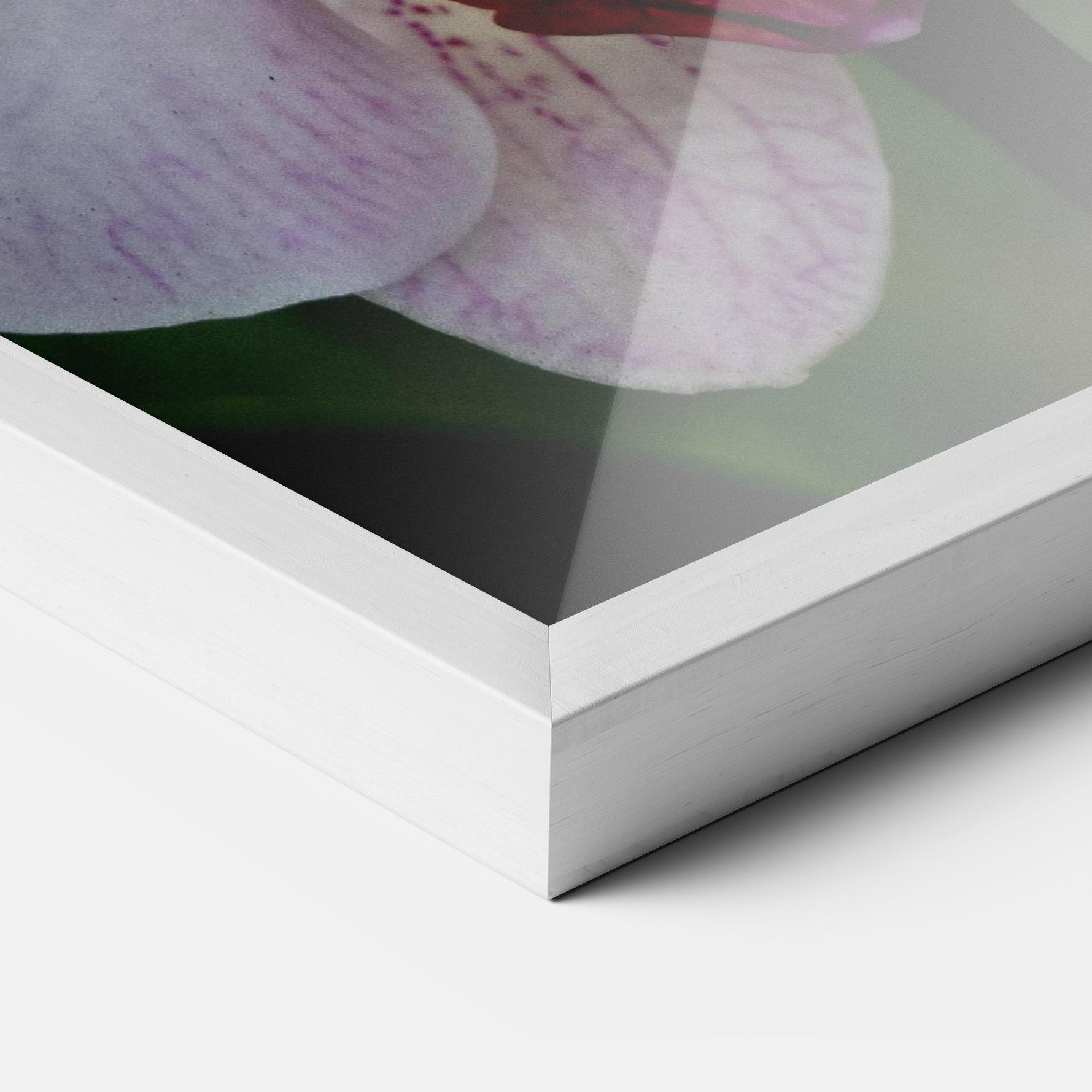 Keretezett Poszter Garden Light Purple Orchid mockup 3