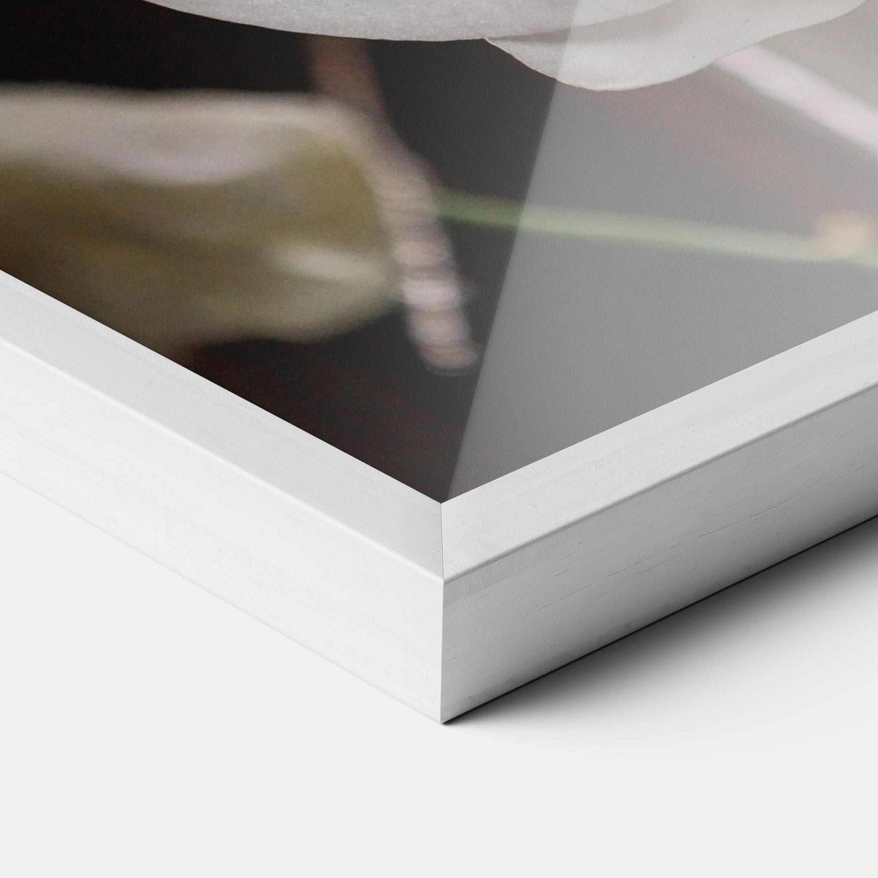 Keretezett Poszter White Orchid Growing mockup 3