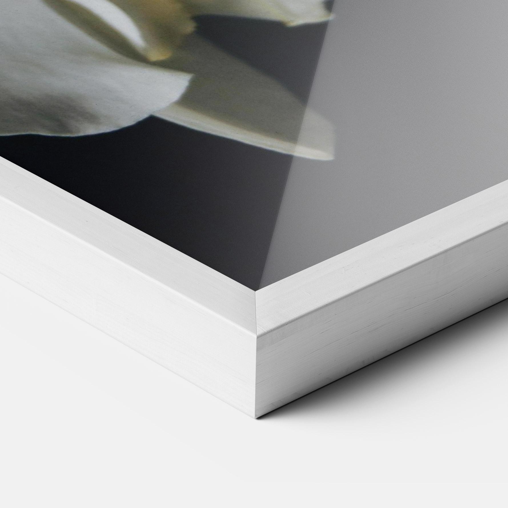 Keretezett Poszter White Orchid On Black mockup 3