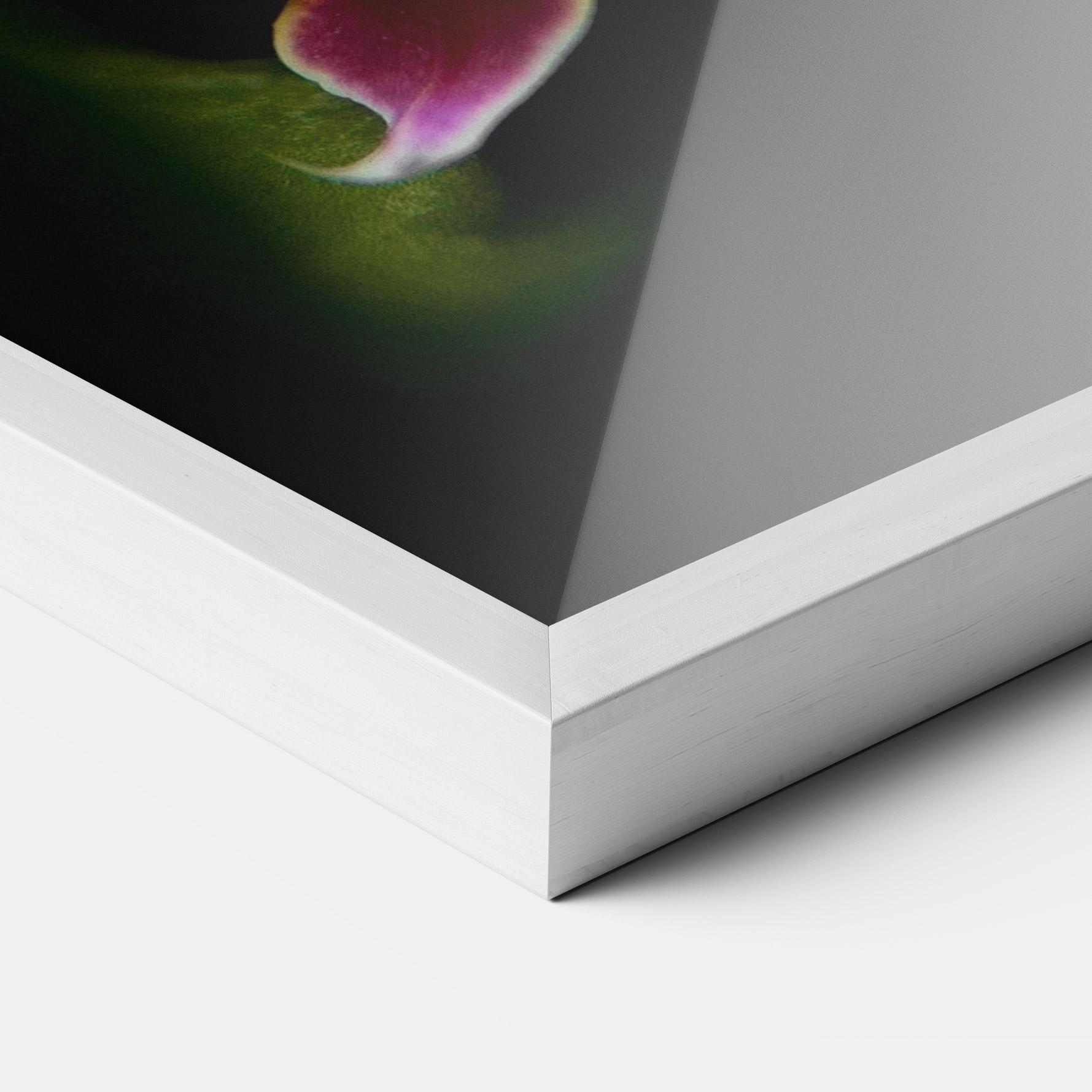 Keretezett Poszter Wild White Purple Orchid mockup 3