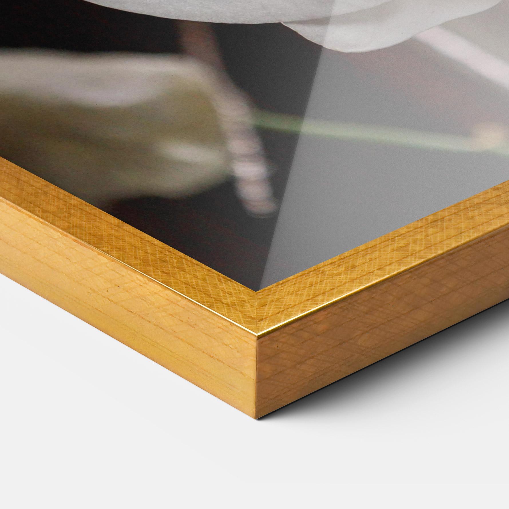 Keretezett Poszter White Orchid Growing mockup 3