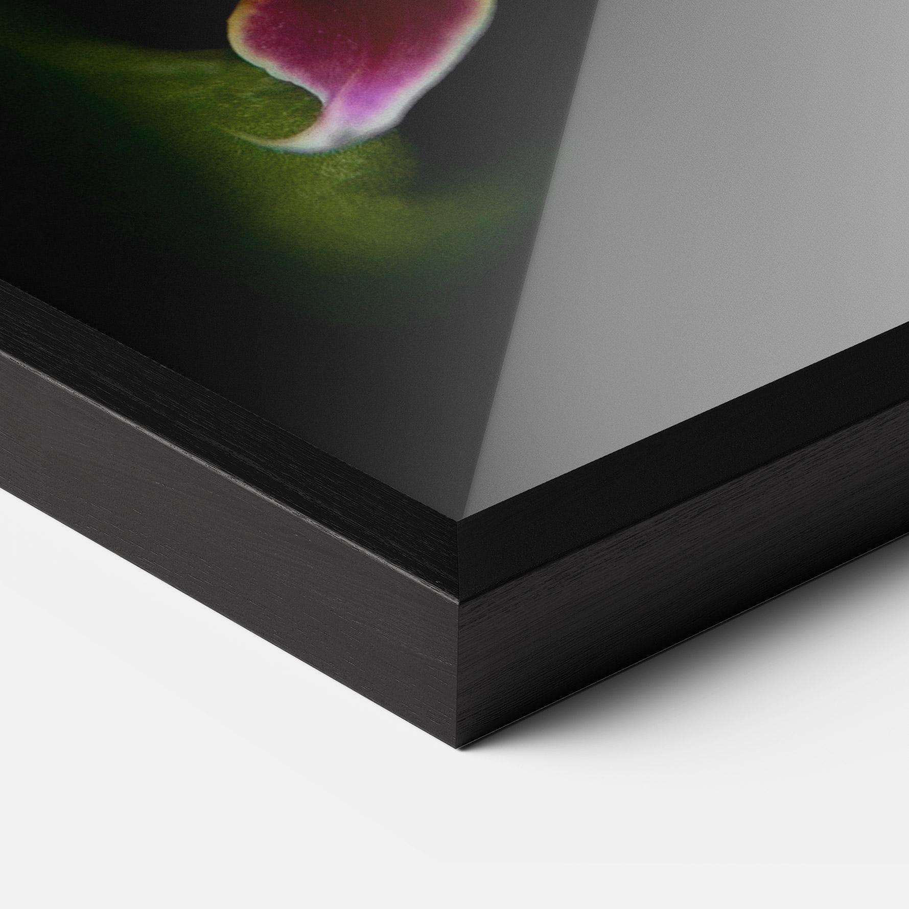 Keretezett Poszter Wild White Purple Orchid mockup 3