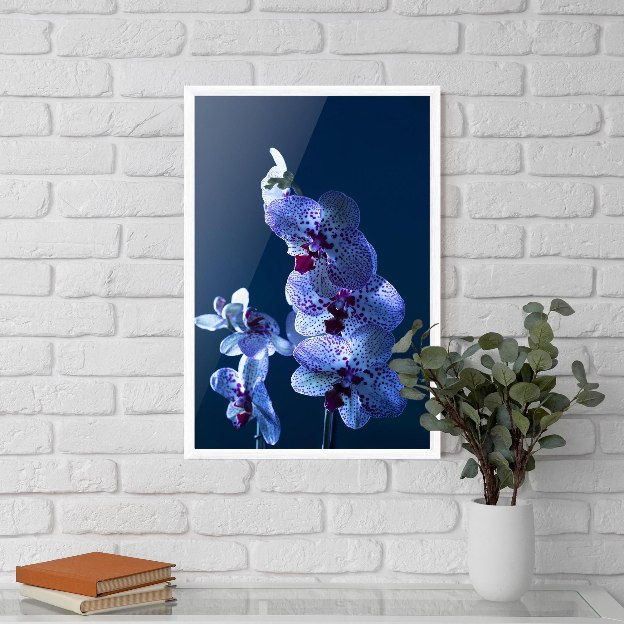 Keretezett Poszter Blue Light Orchid mockup 5