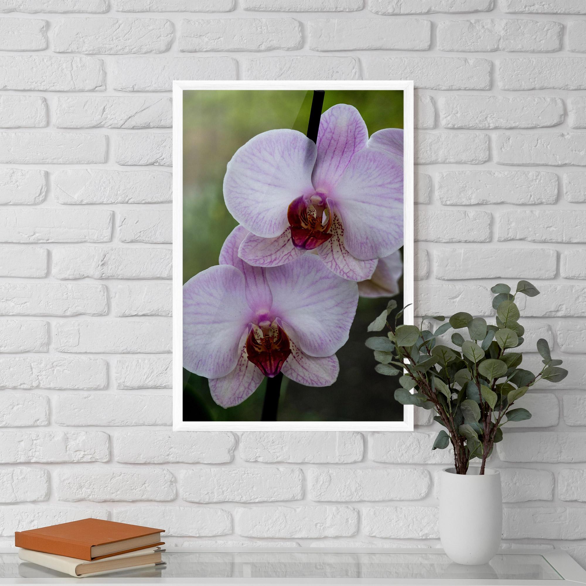 Keretezett Poszter Garden Light Purple Orchid mockup 5