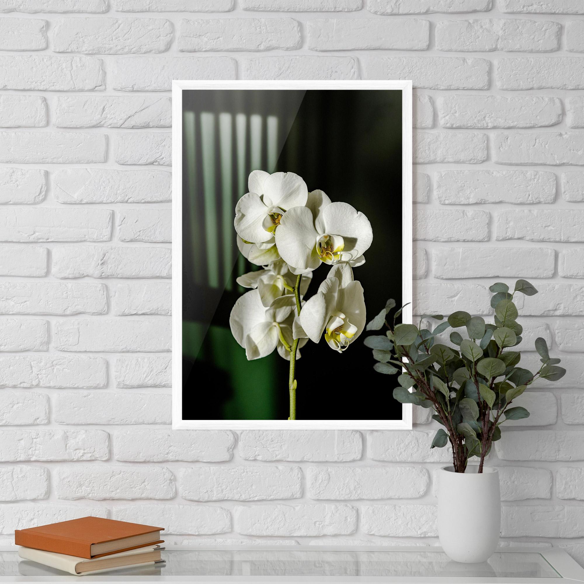 Keretezett Poszter Orchid On Green mockup 5
