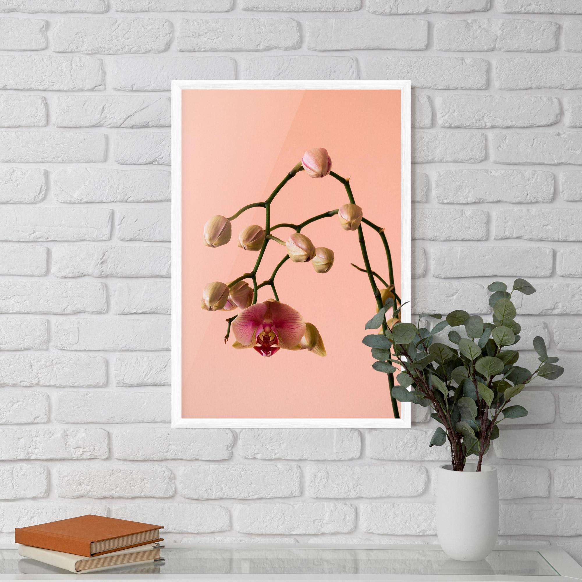 Keretezett Poszter Orchids On Pink mockup 5