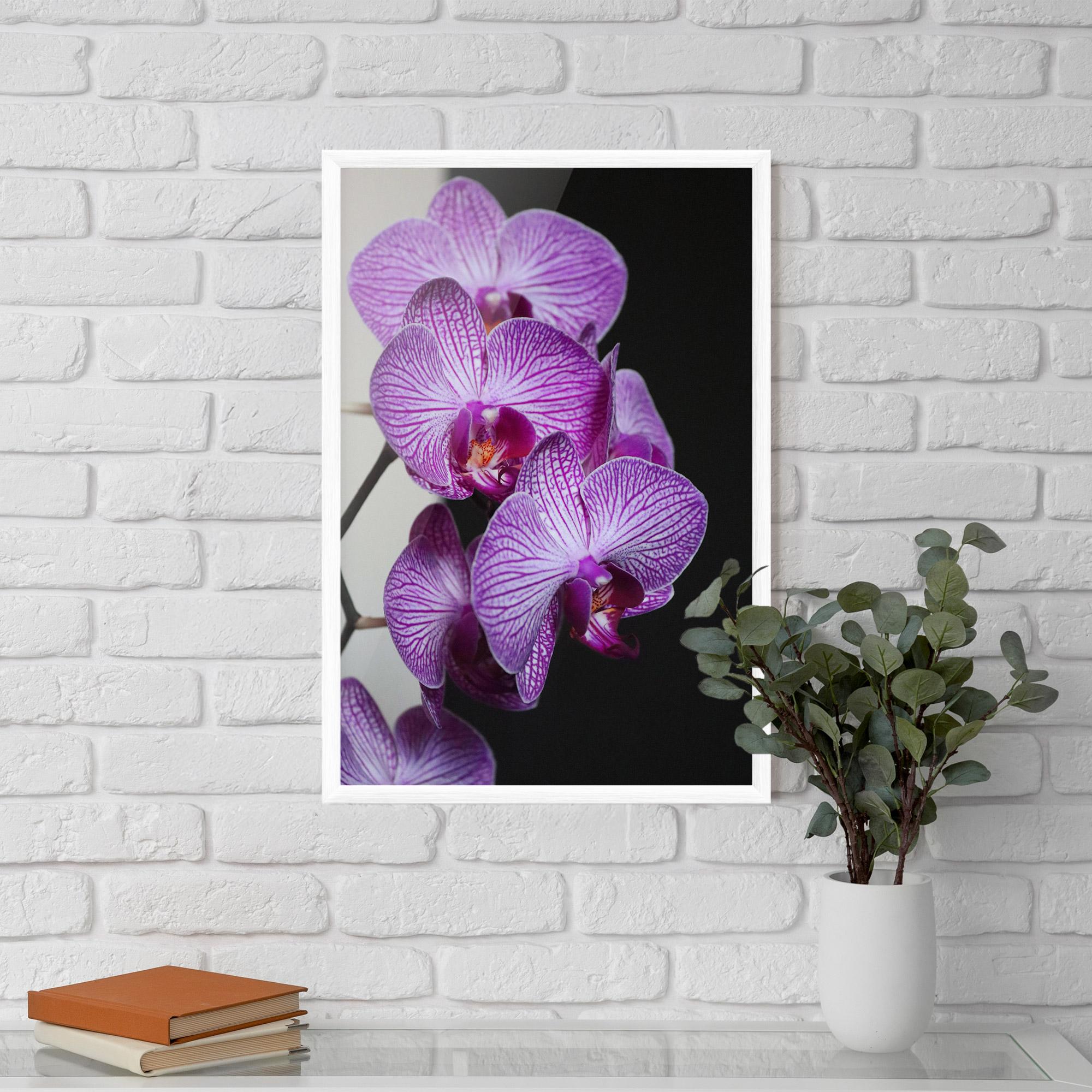 Keretezett Poszter Purple Orchid On Black mockup 5
