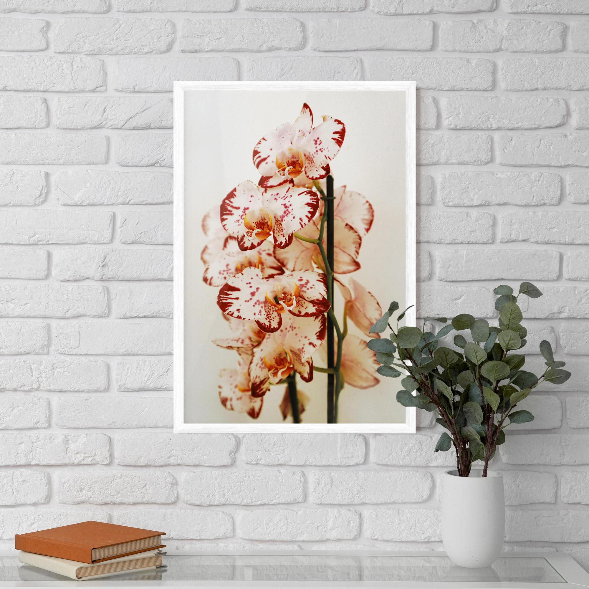 Keretezett Poszter Red White Orchids mockup 5