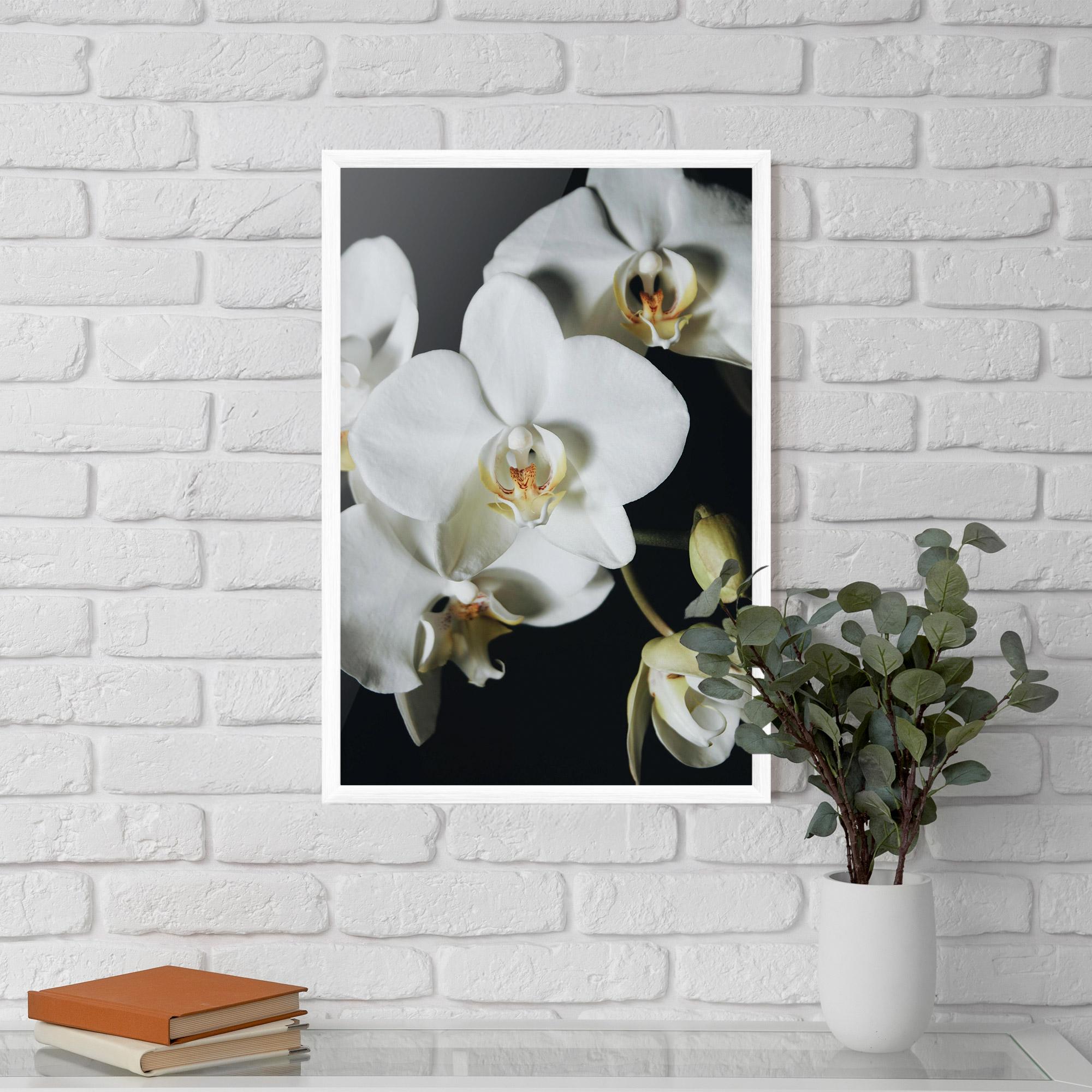 Keretezett Poszter White Orchid On Black mockup 5