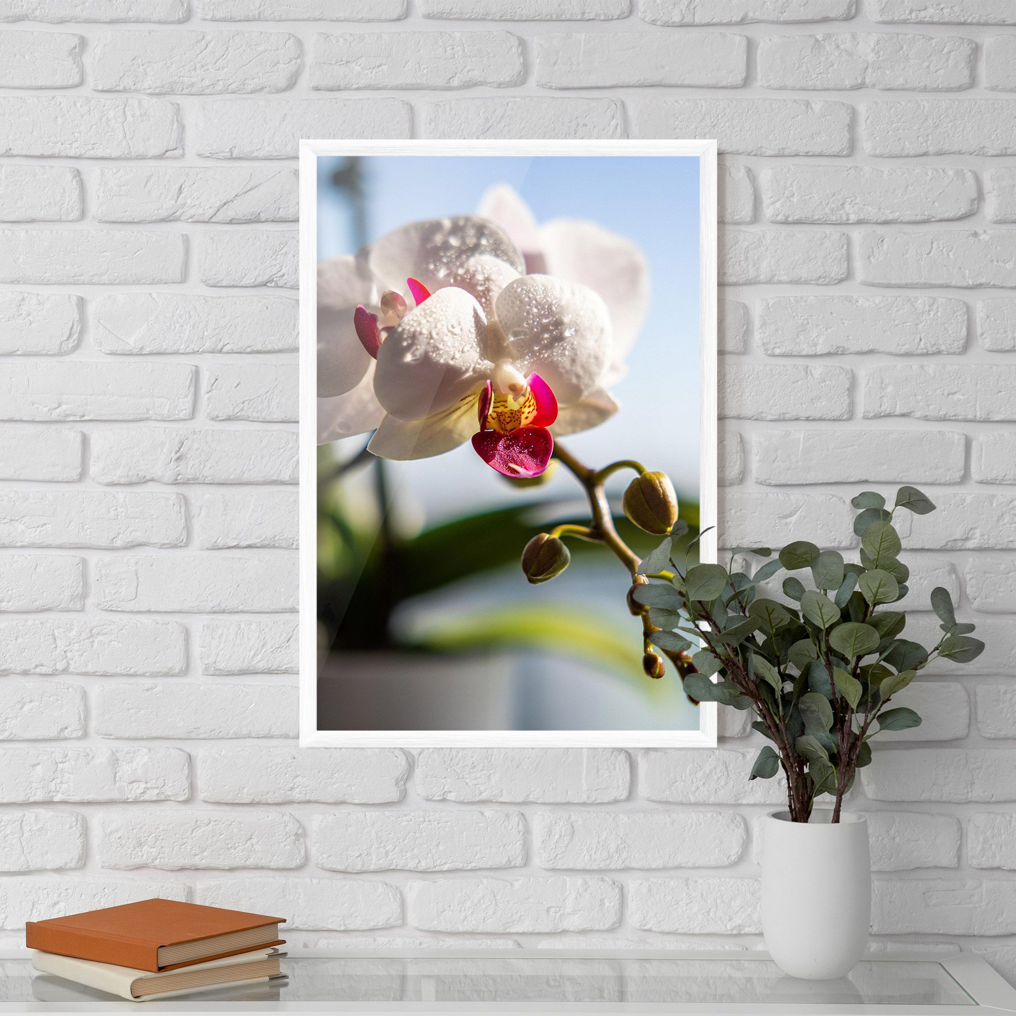 White Orchid With Water mockup 5