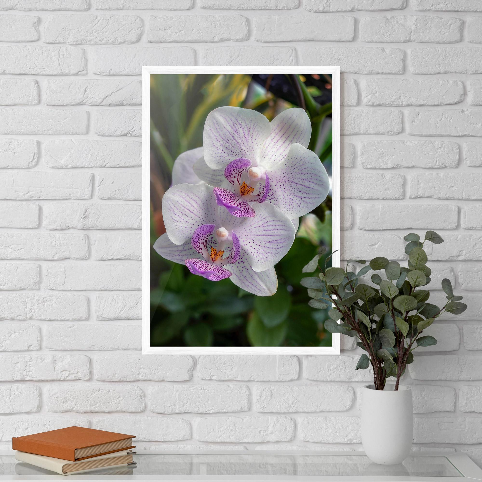 Keretezett Poszter White Orchids mockup 5