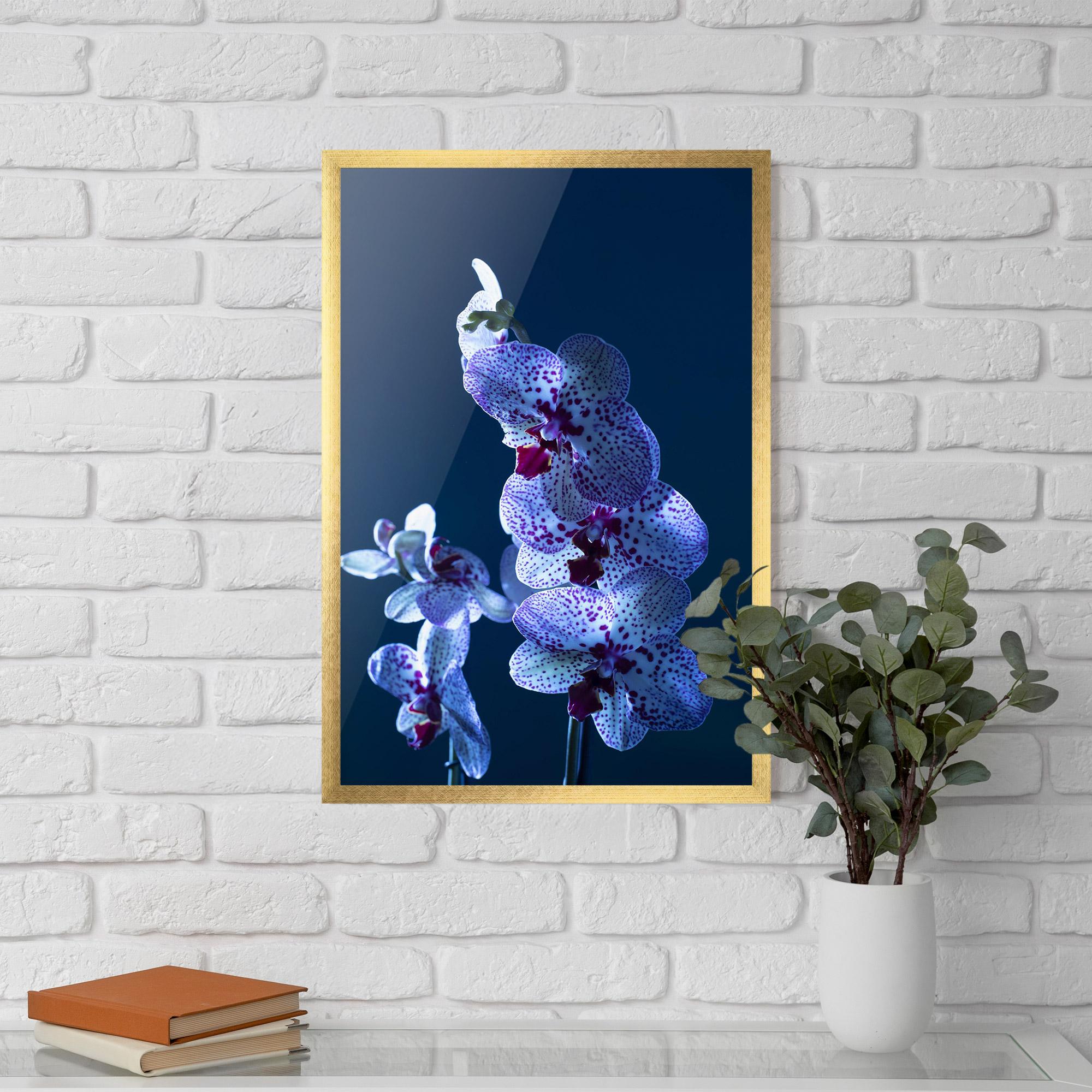 Keretezett Poszter Blue Light Orchid mockup 5