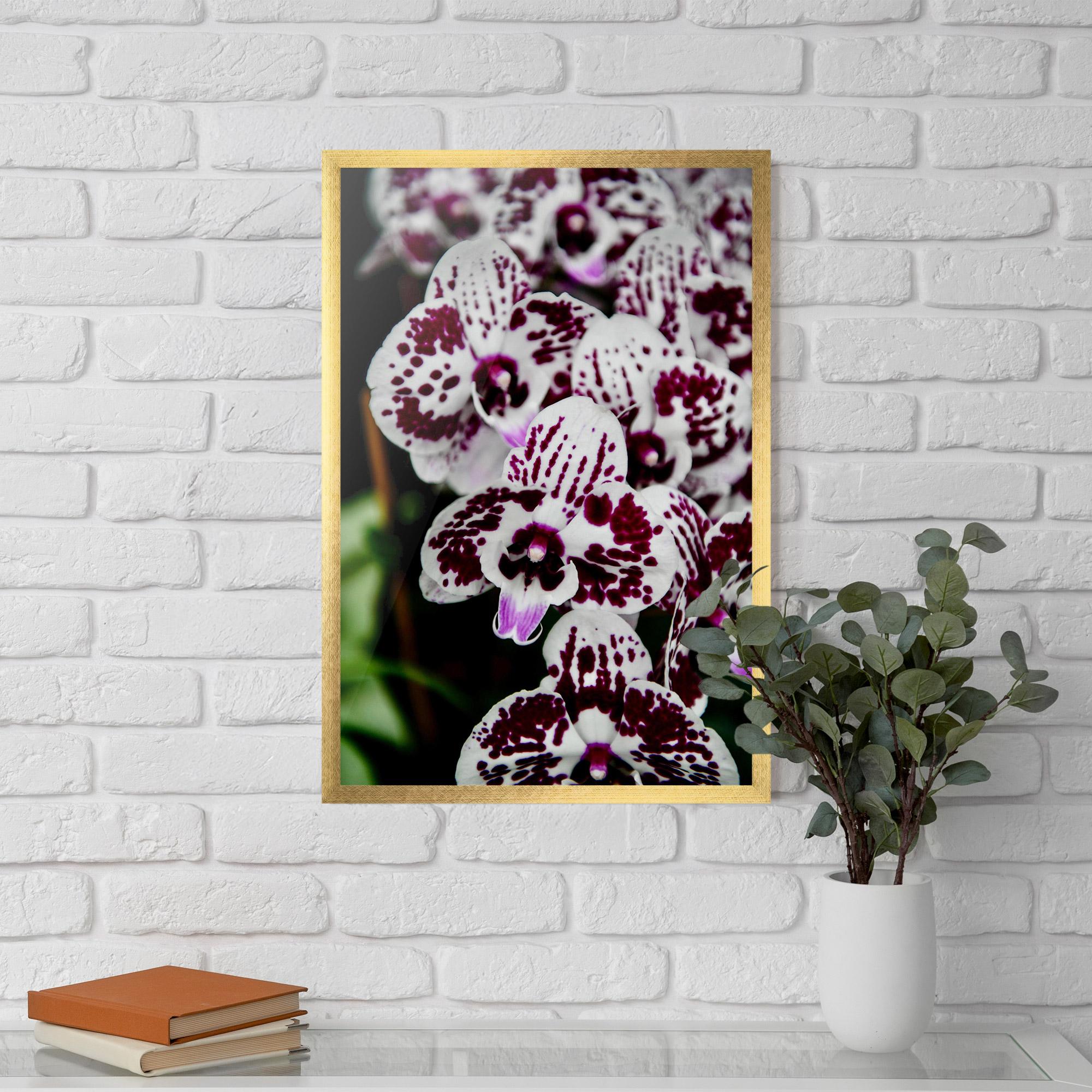 Keretezett Poszter Dark Purple Orchids mockup 5