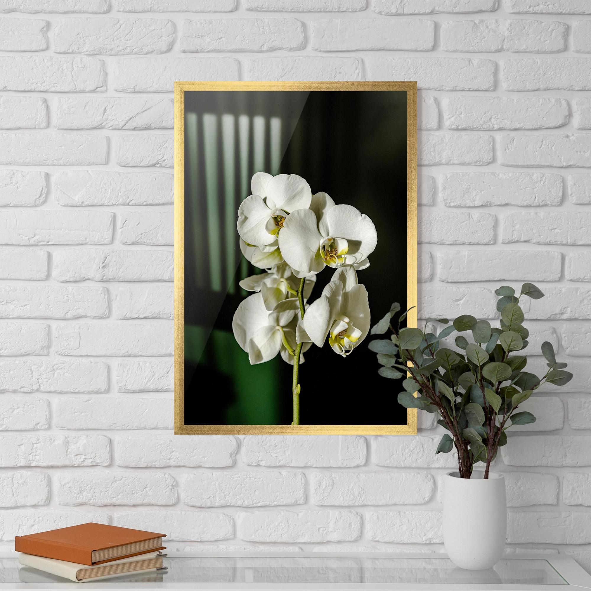 Keretezett Poszter Orchid On Green mockup 5