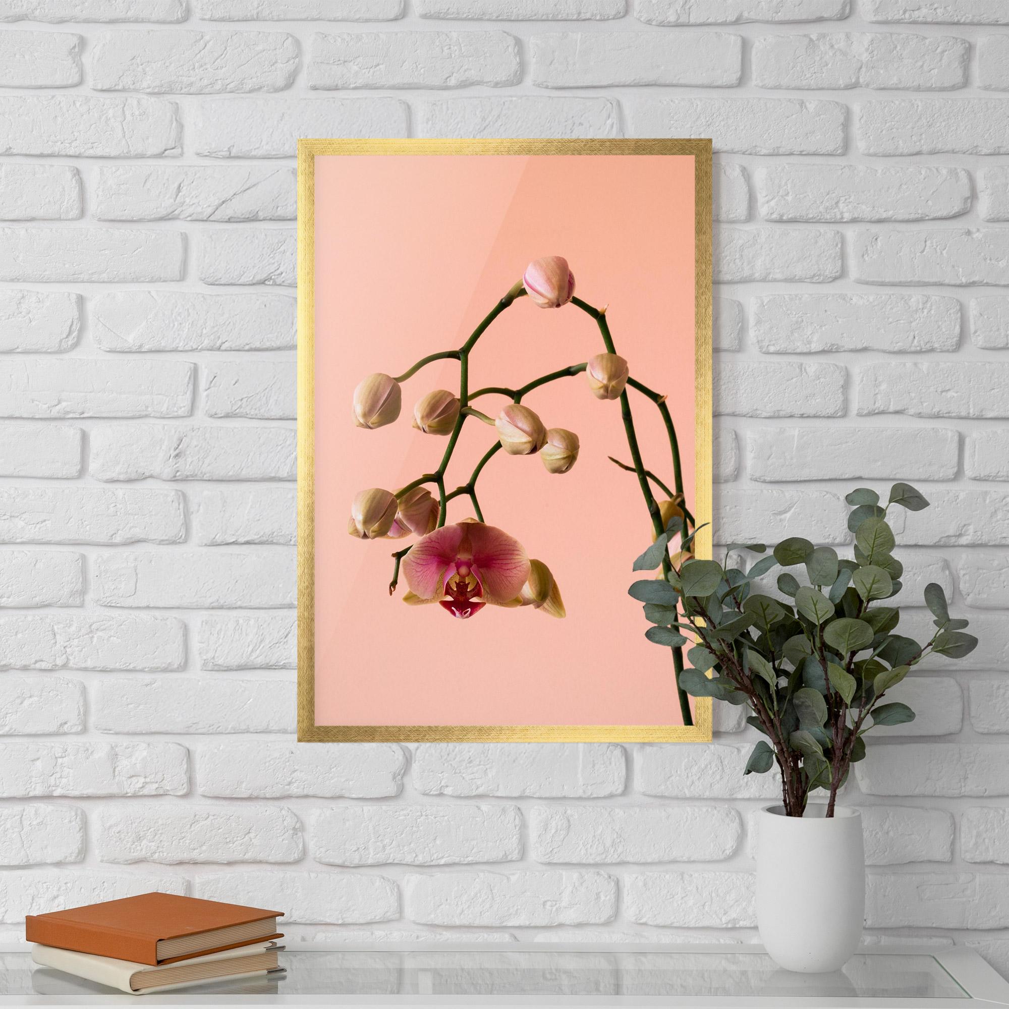 Keretezett Poszter Orchids On Pink mockup 5