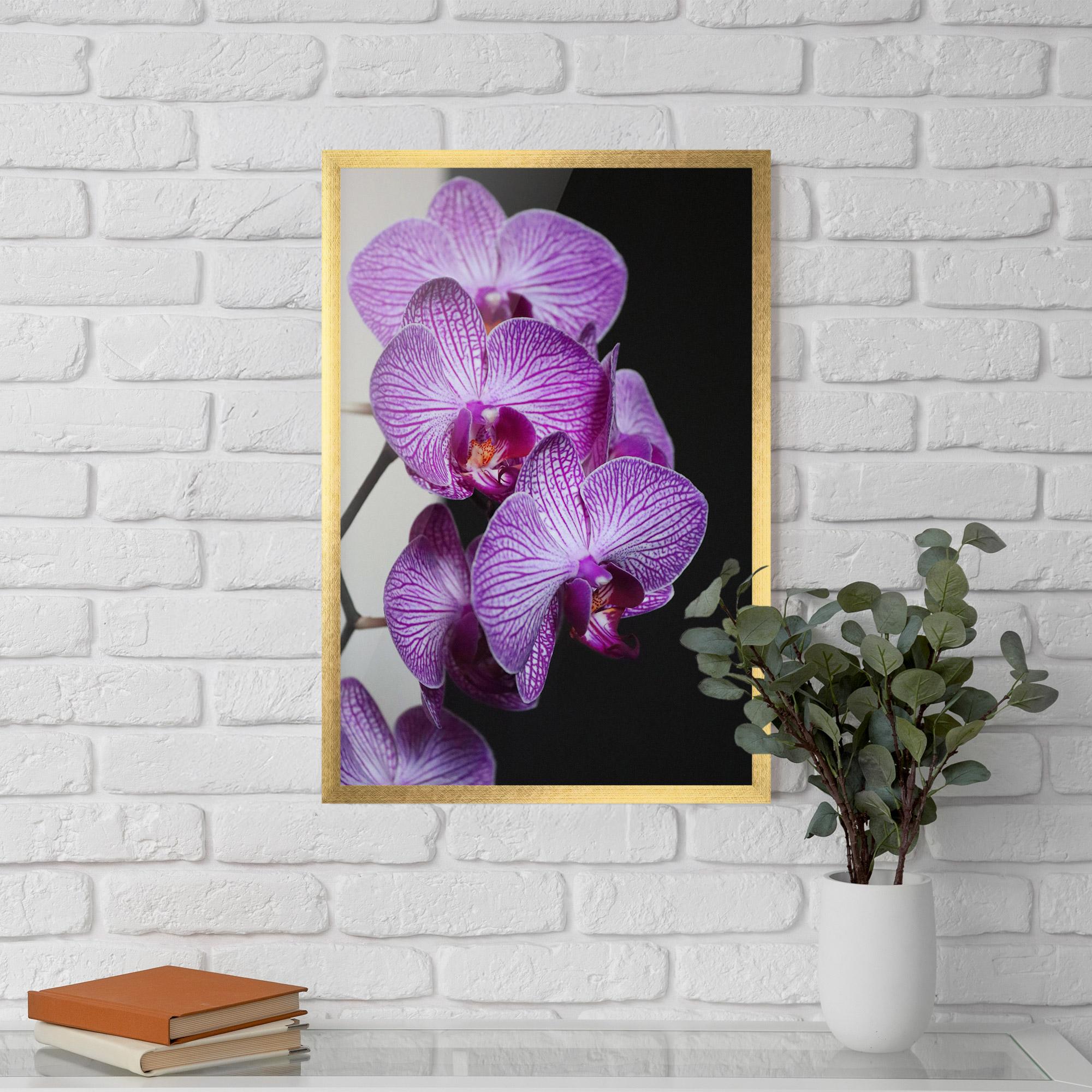 Keretezett Poszter Purple Orchid On Black mockup 5