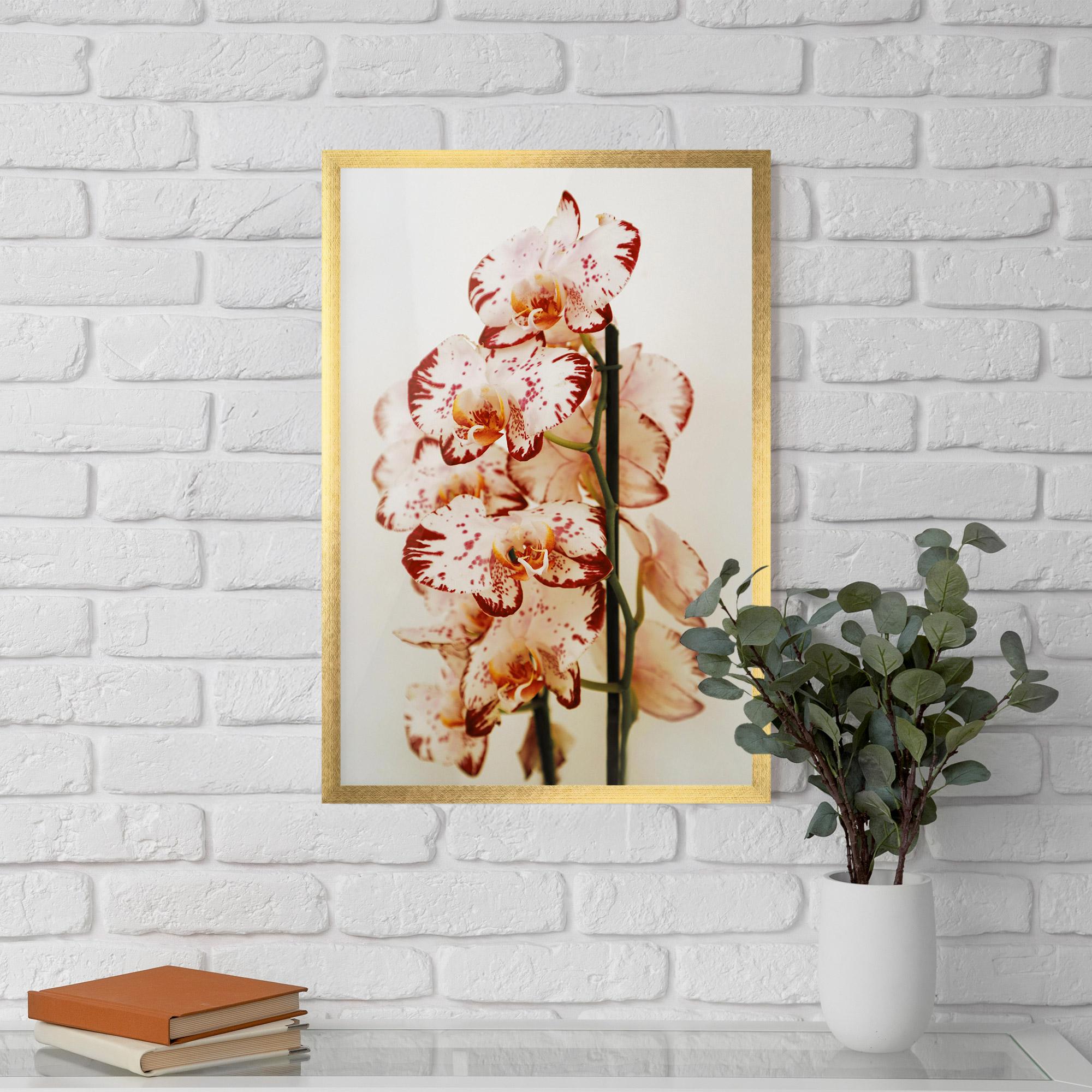 Keretezett Poszter Red White Orchids mockup 5