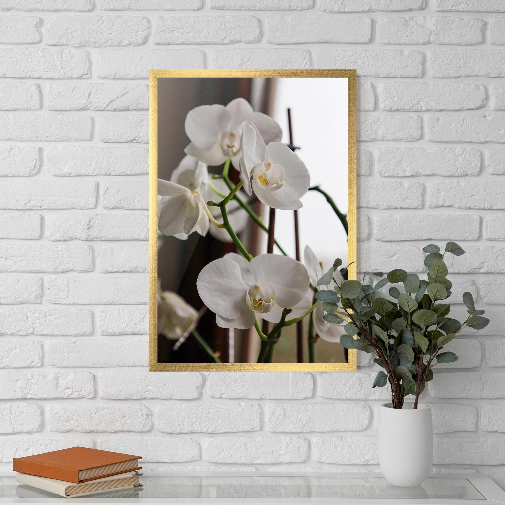 Keretezett Poszter White Orchid Growing mockup 5