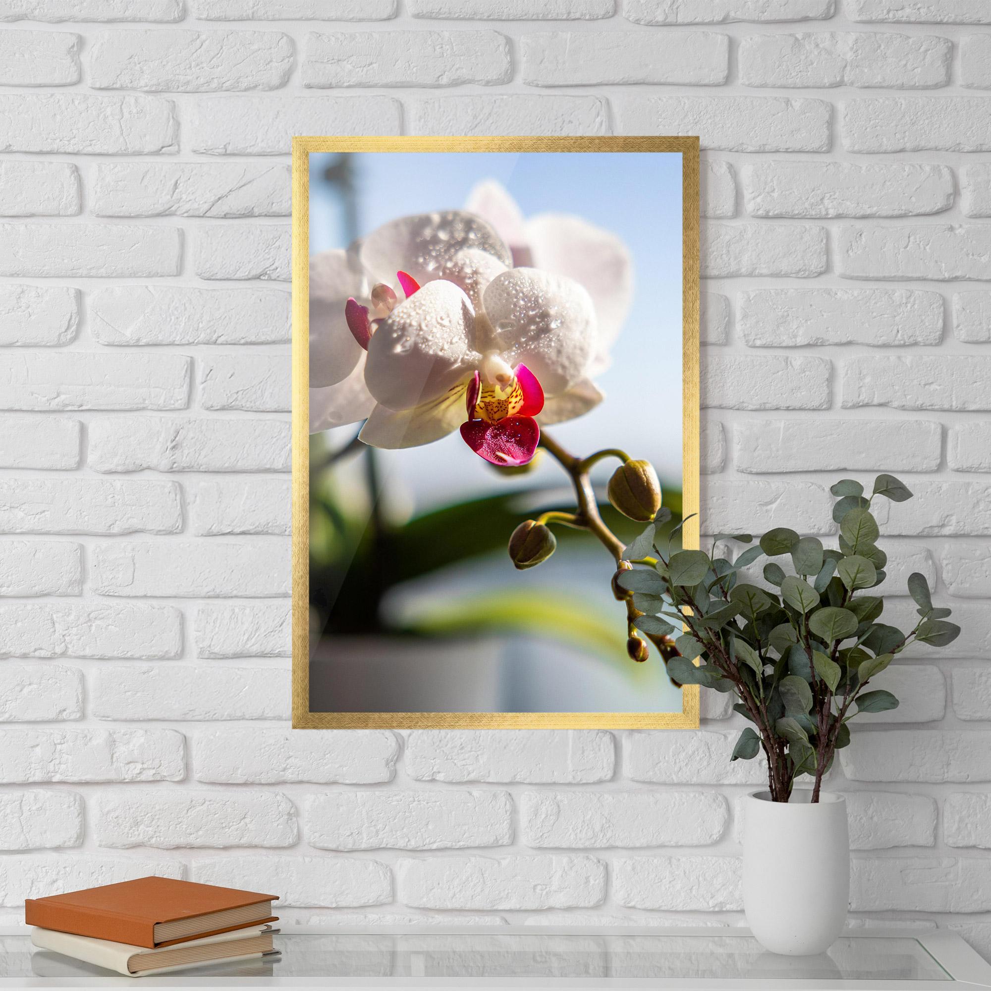 Keretezett Poszter White Orchid With Water mockup 5