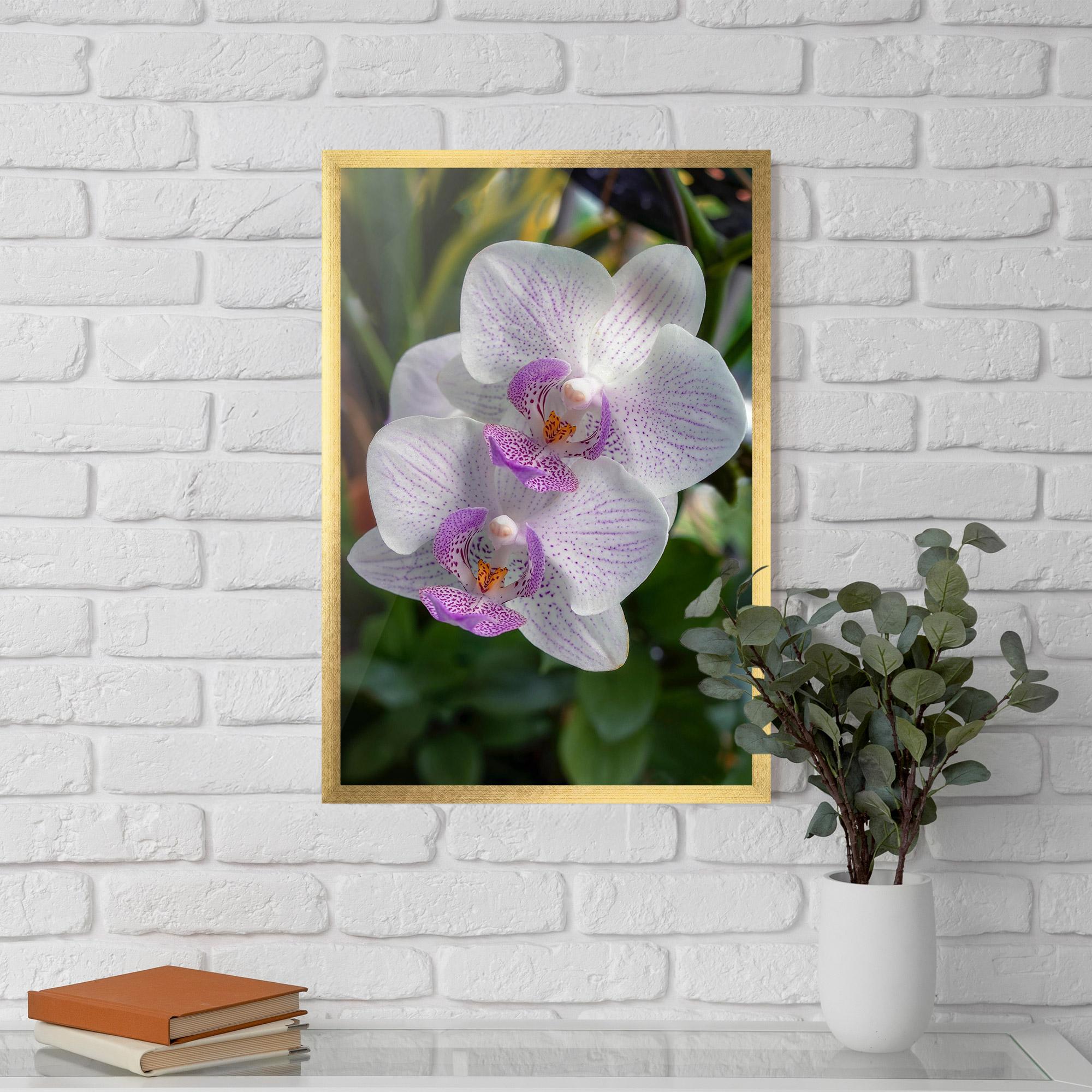 Keretezett Poszter White Orchids mockup 5