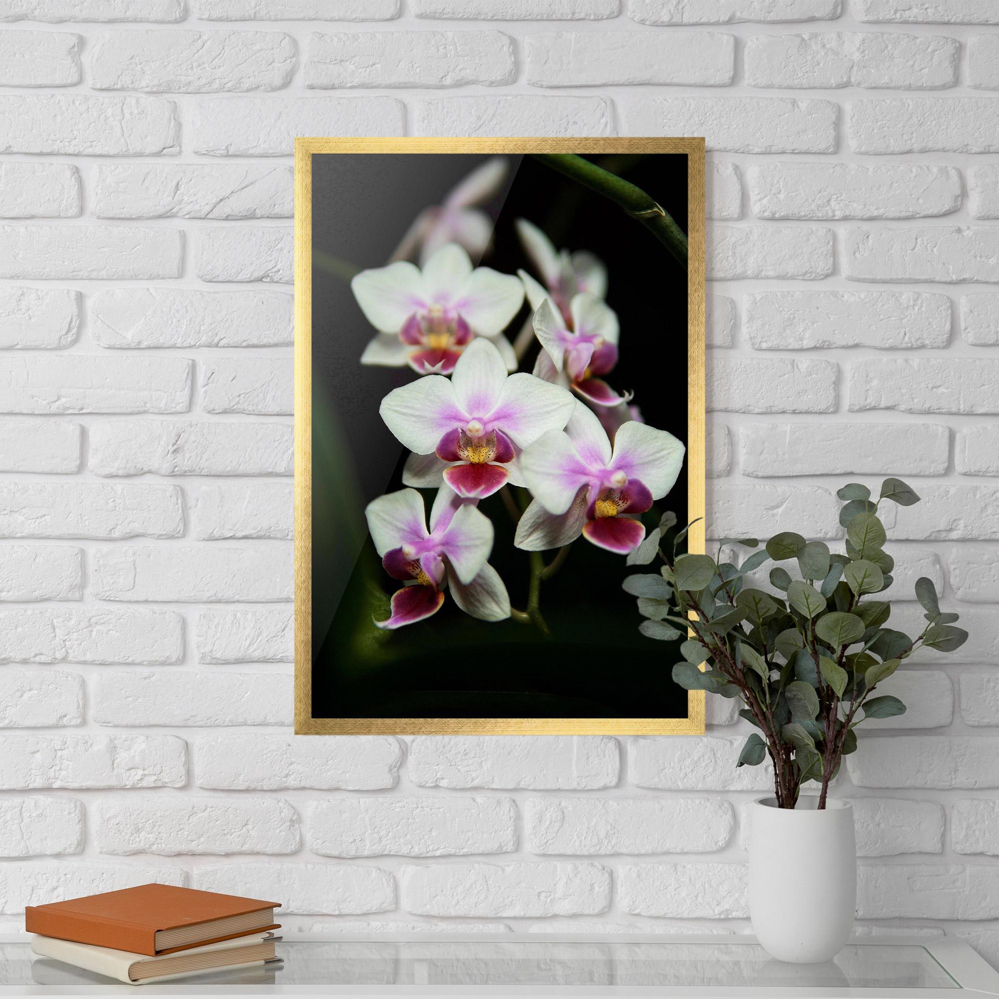 Keretezett Poszter Wild White Purple Orchid mockup 5