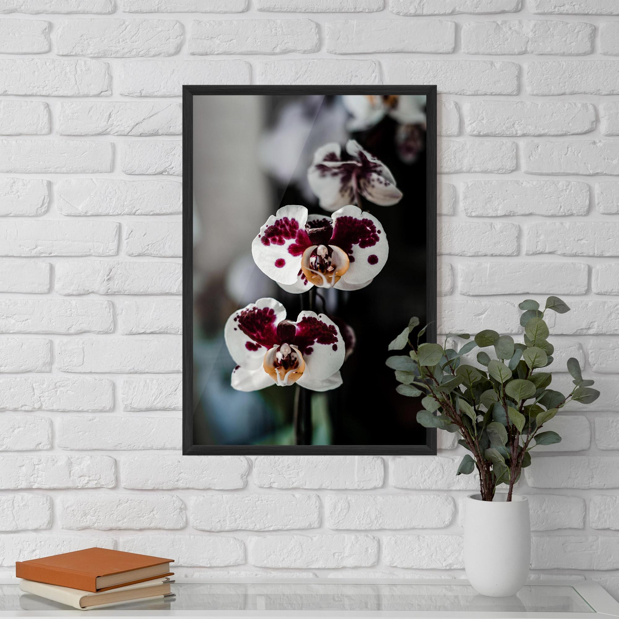 Keretezett Poszter Dark Purple Orchid mockup 5