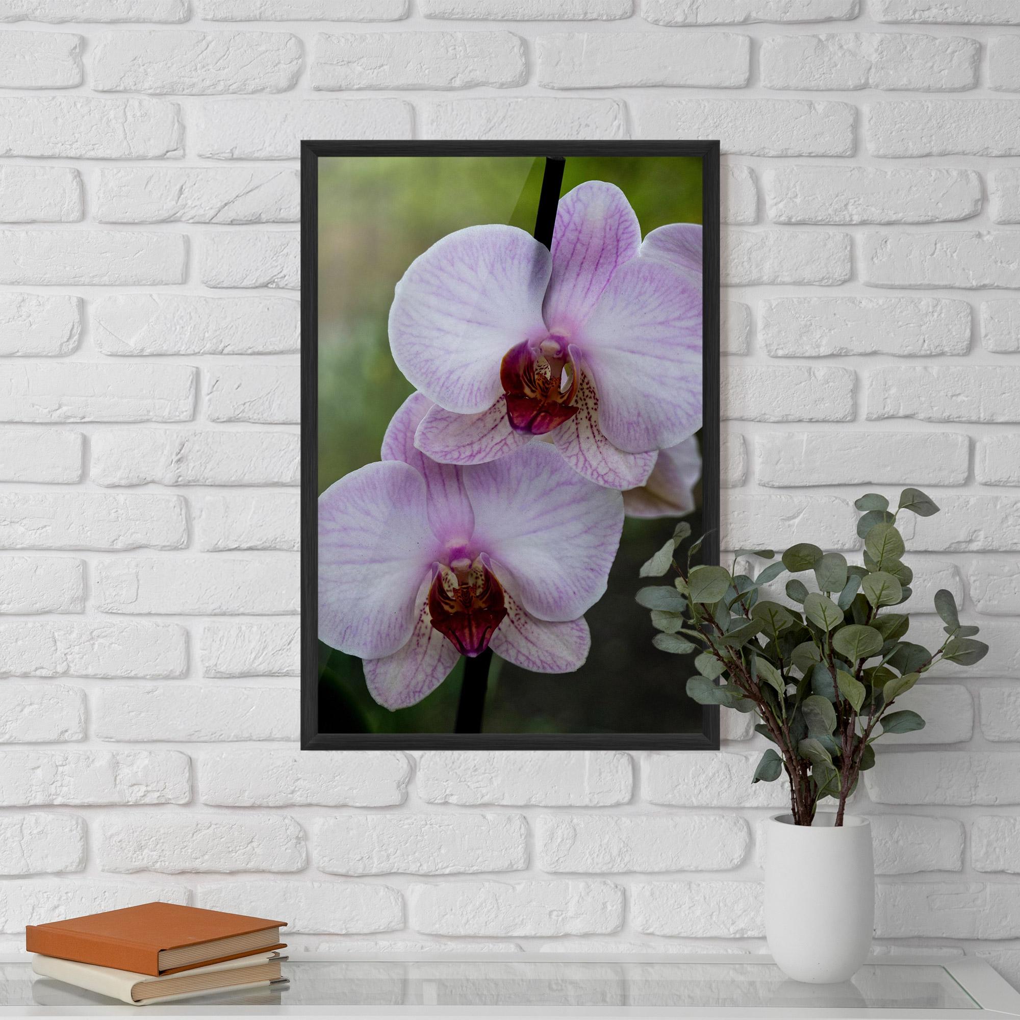 Keretezett Poszter Garden Light Purple Orchid mockup 5